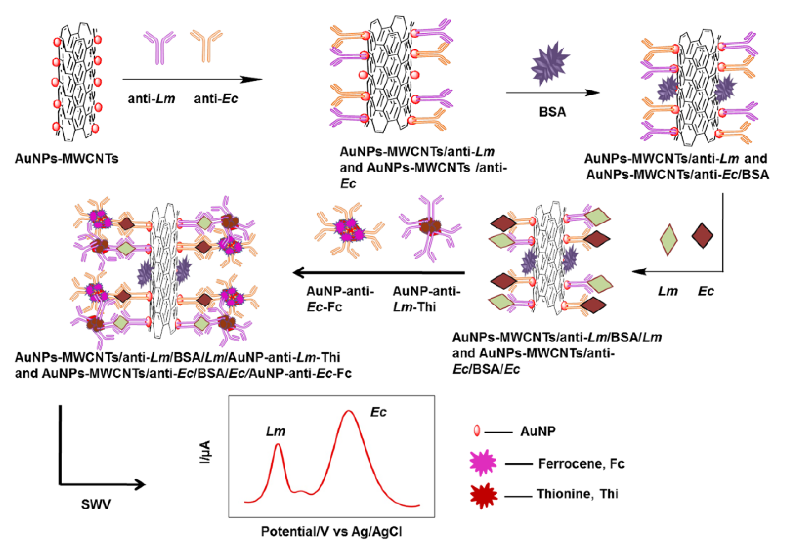 Biosensors 13 00216 g005 Biosensors 13 00216 g005