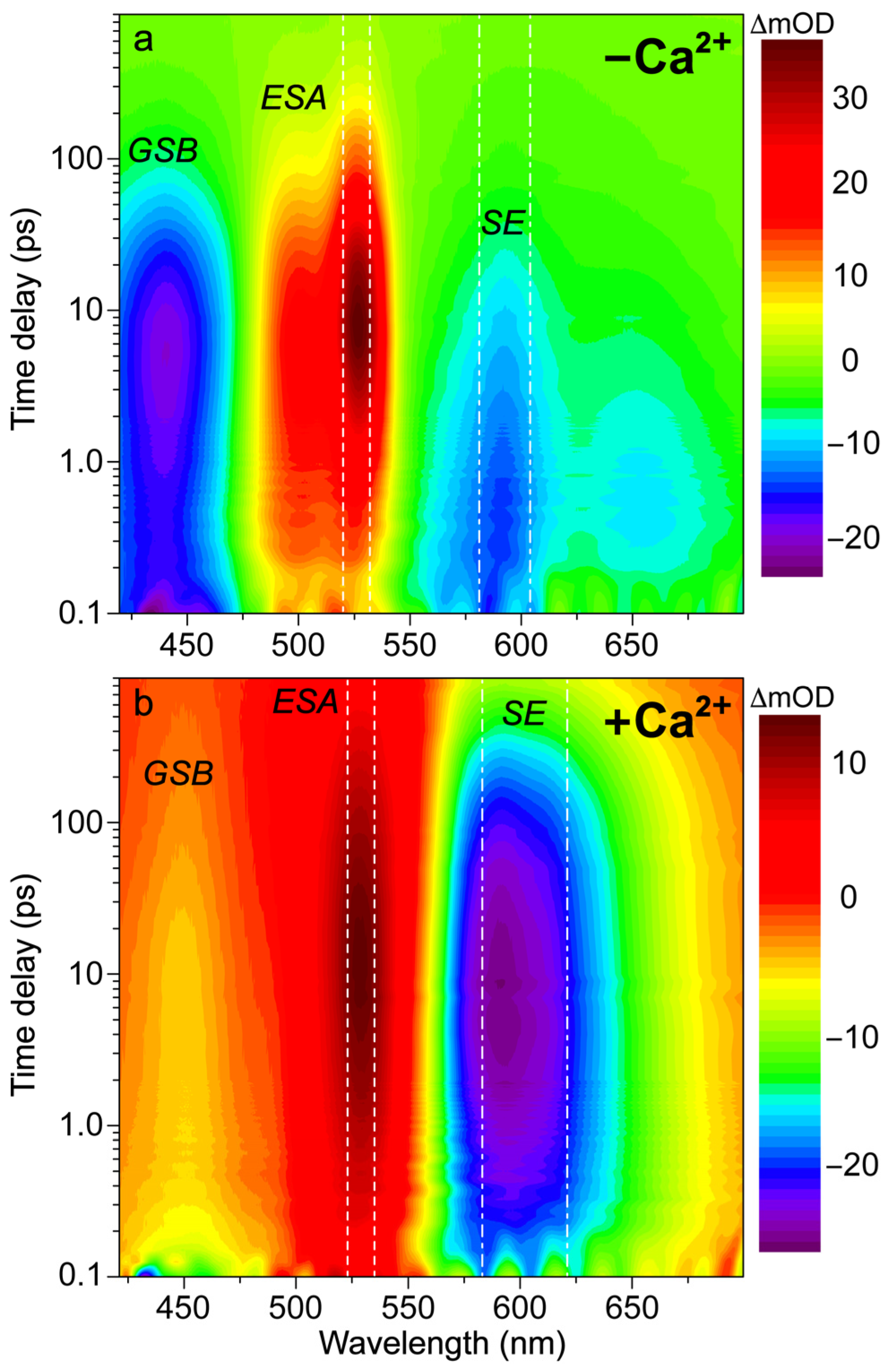 Biosensors 13 00218 g002