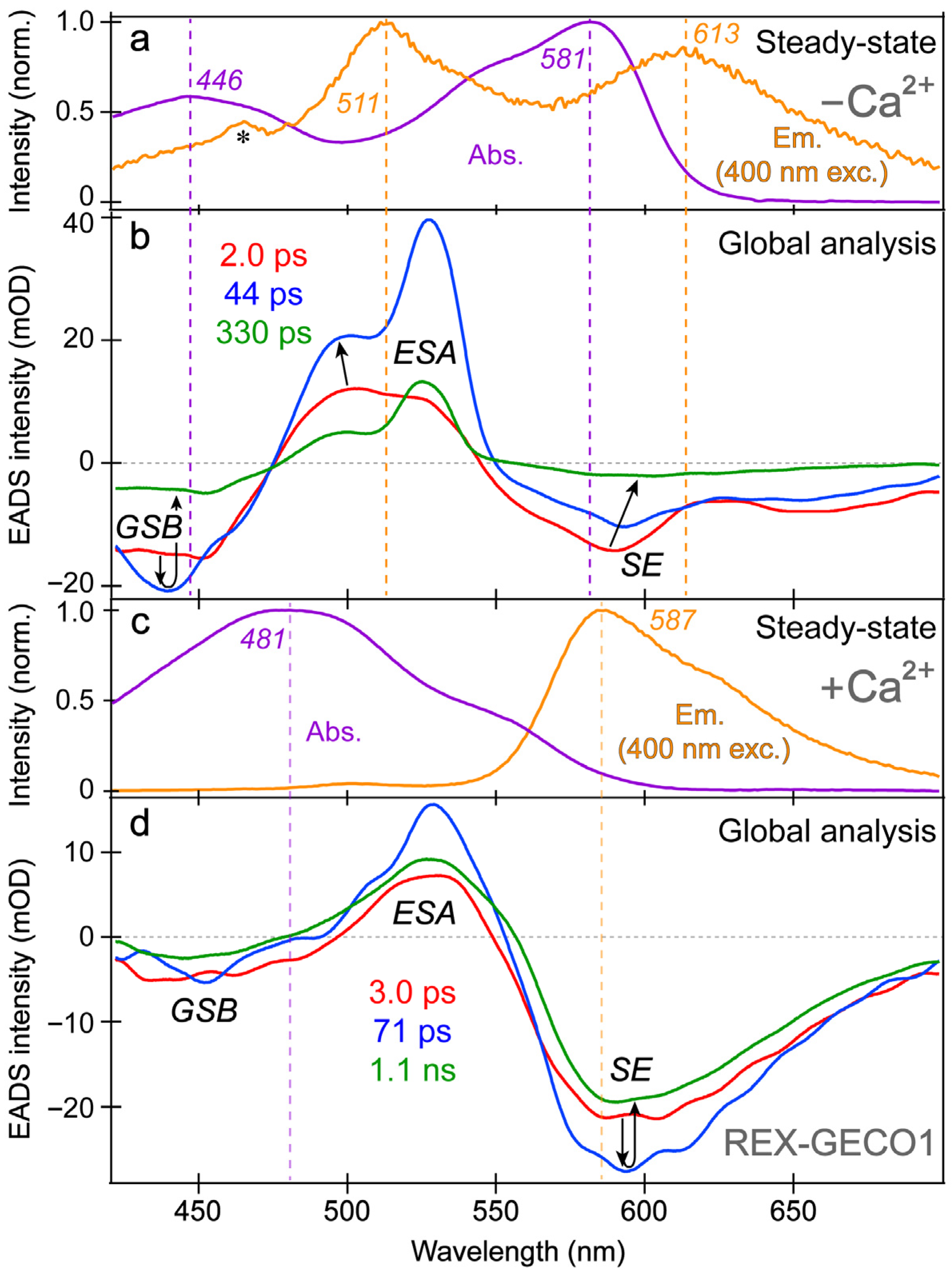 Biosensors 13 00218 g003