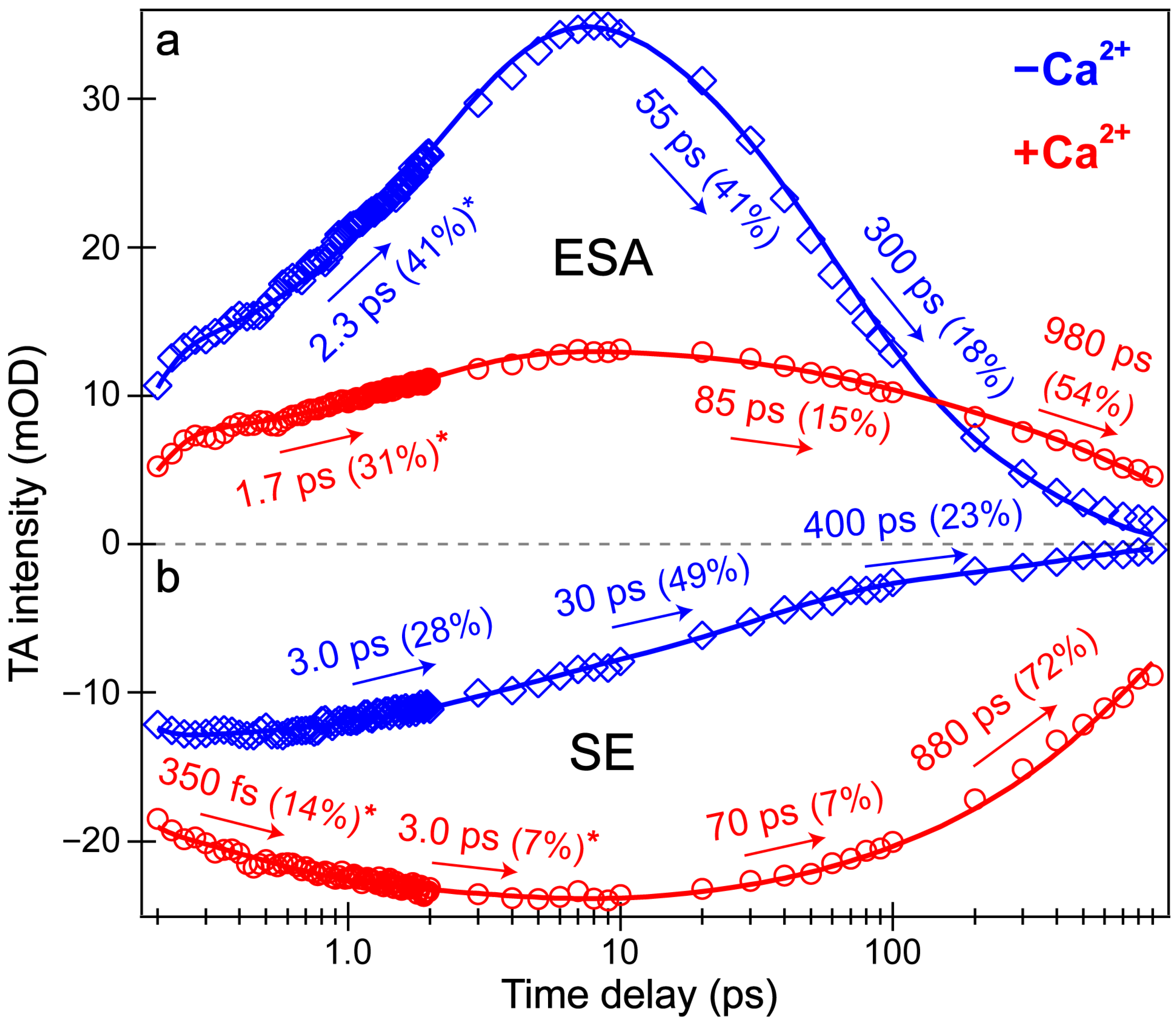 Biosensors 13 00218 g004