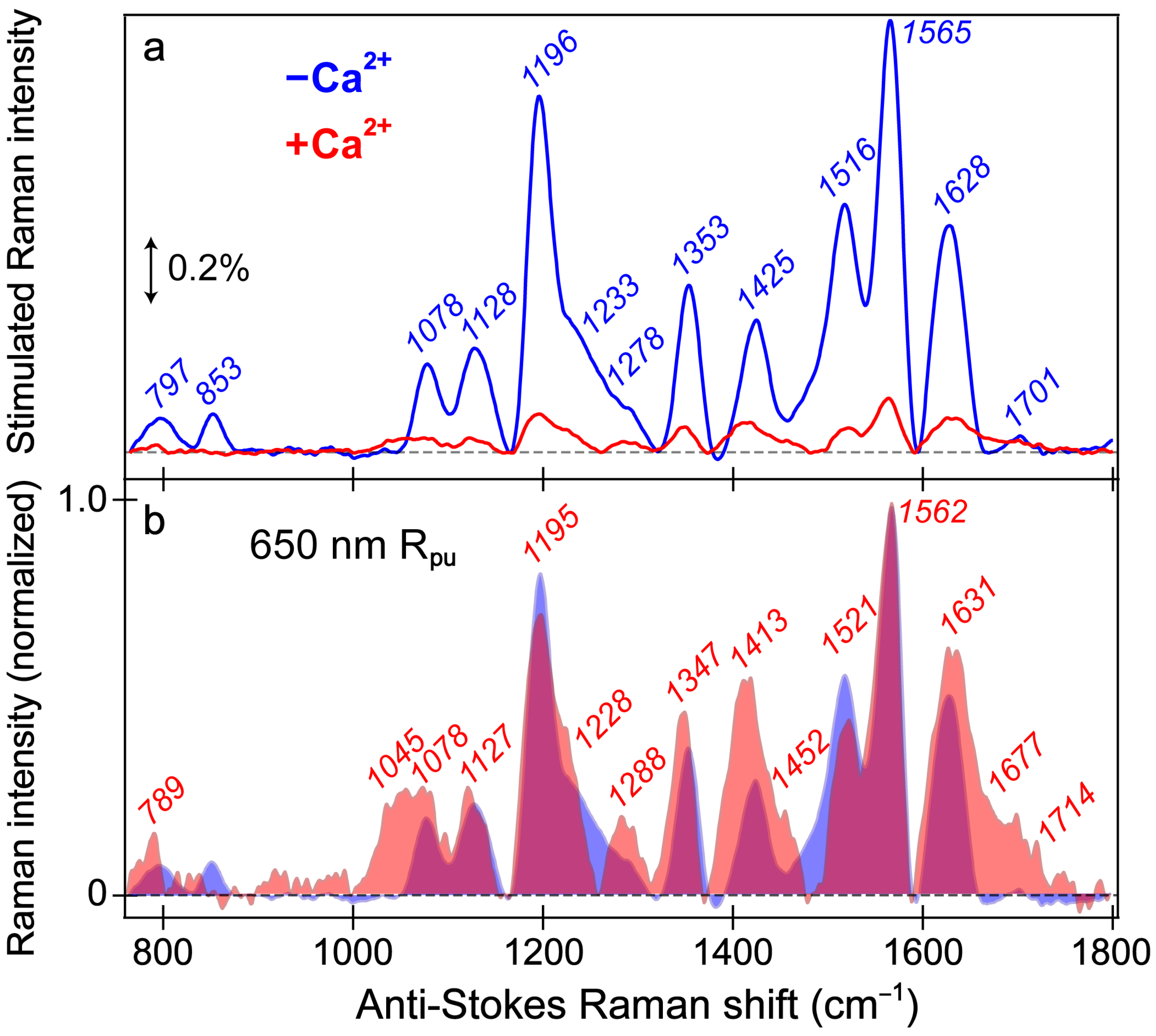 Biosensors 13 00218 g005