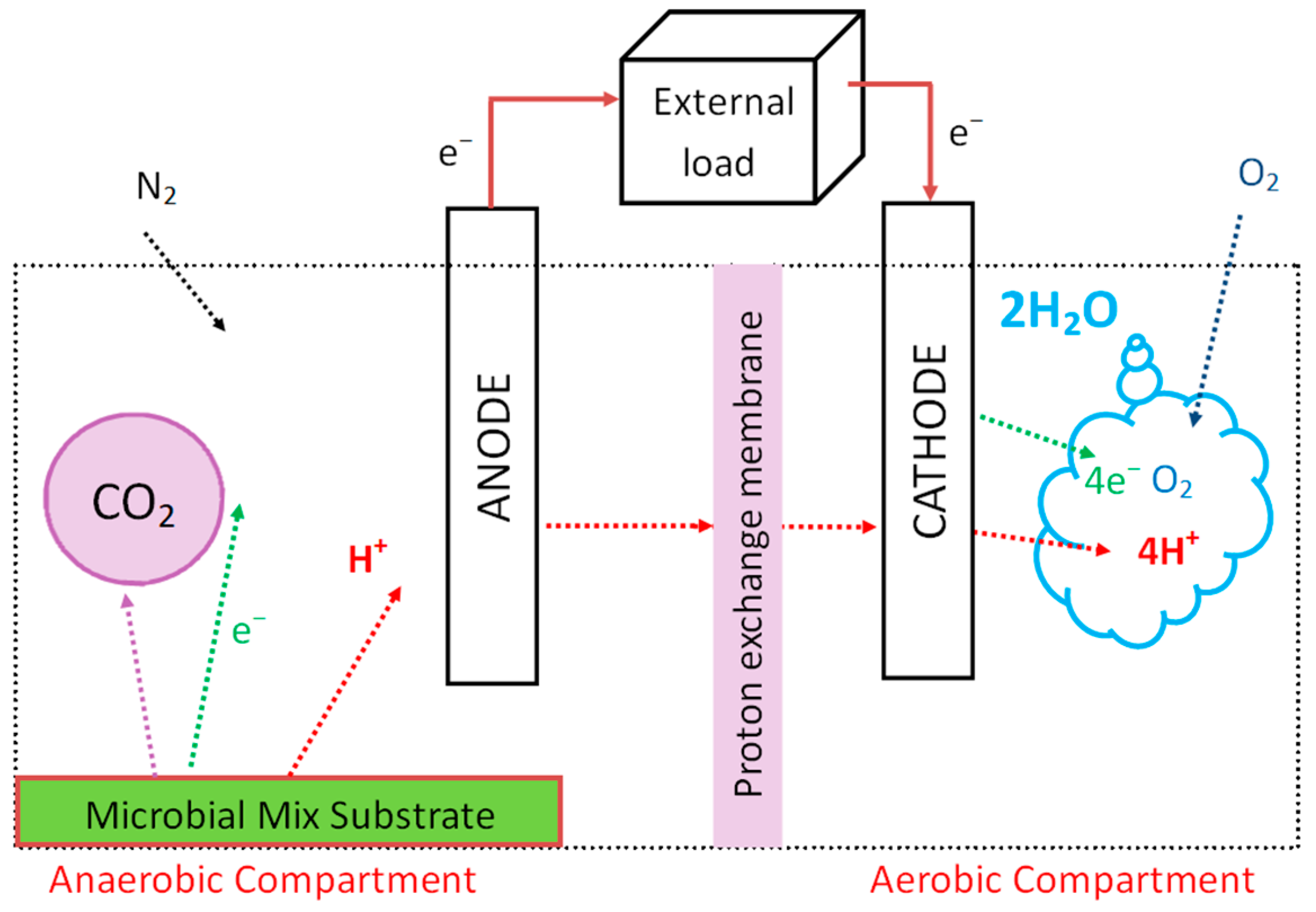 Biosensors 13 00221 g002 Biosensors 13 00221 g002