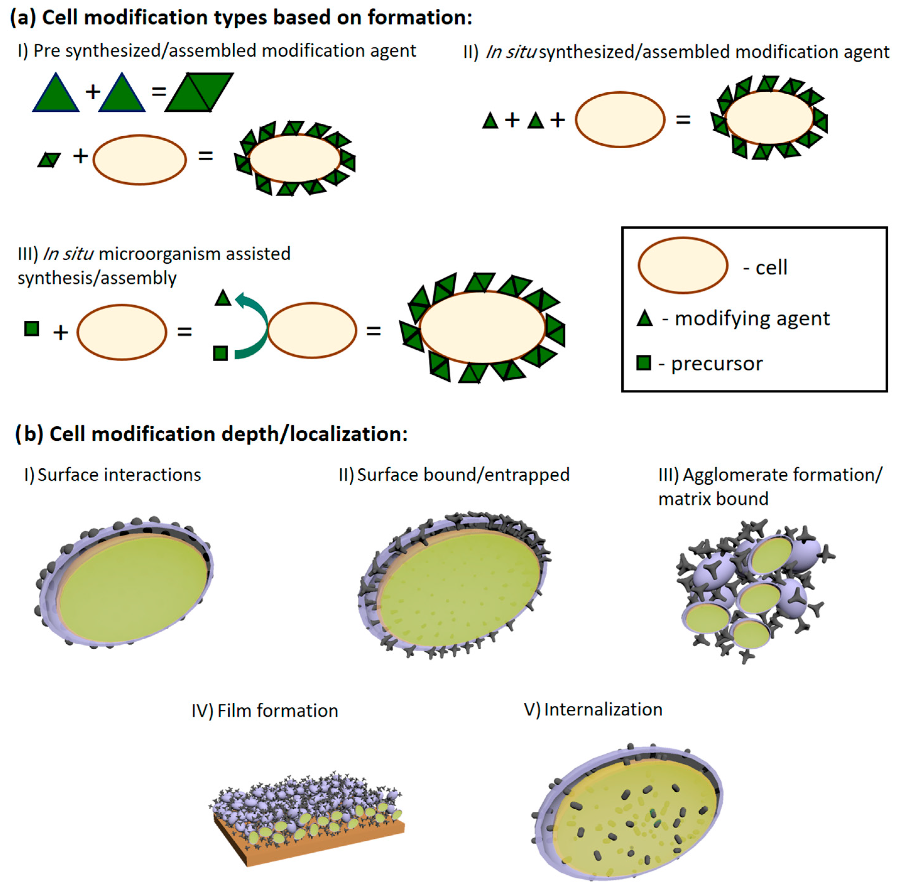 Biosensors 13 00221 g003 Biosensors 13 00221 g003