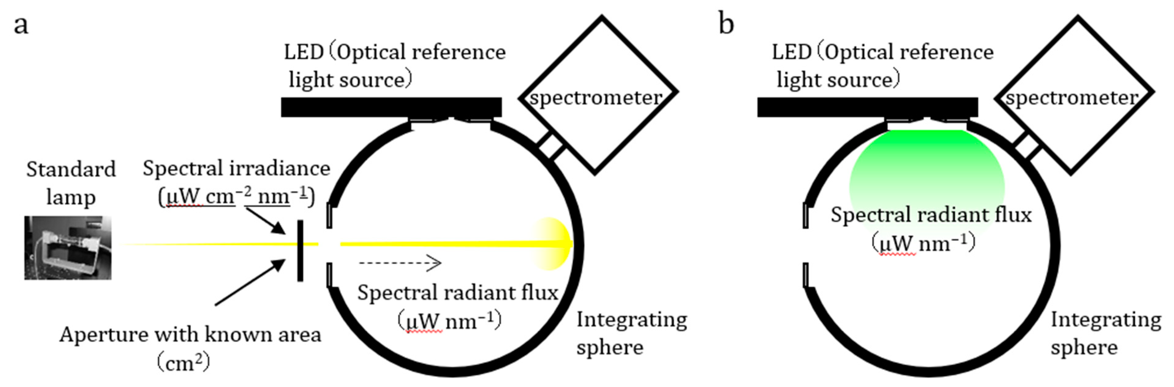 Biosensors 13 00223 g002