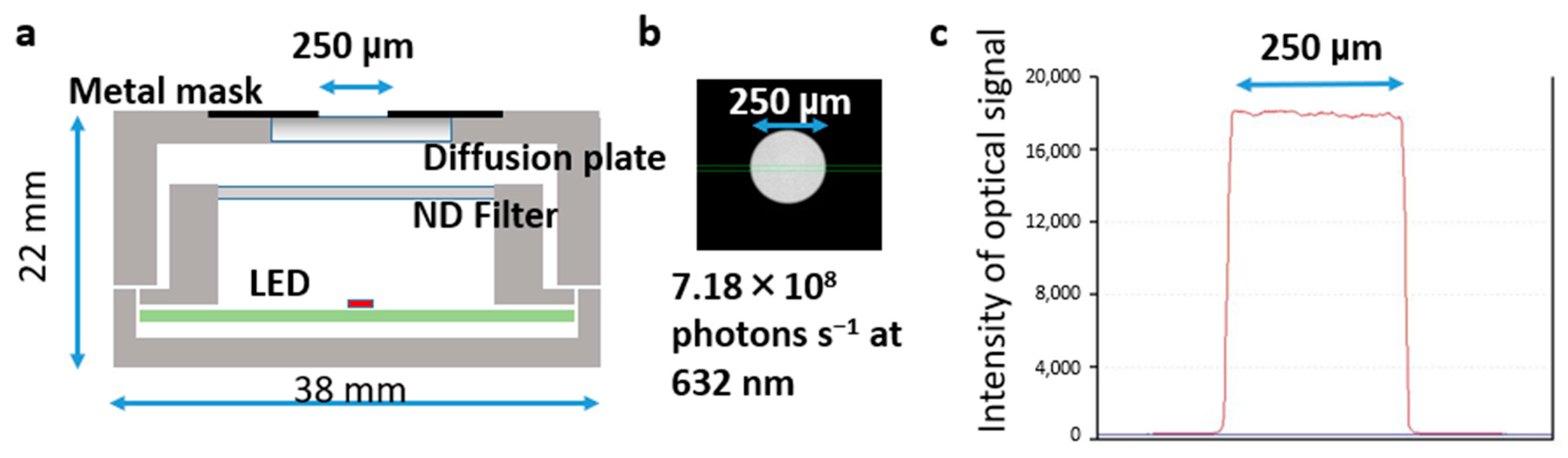 Biosensors 13 00223 g003