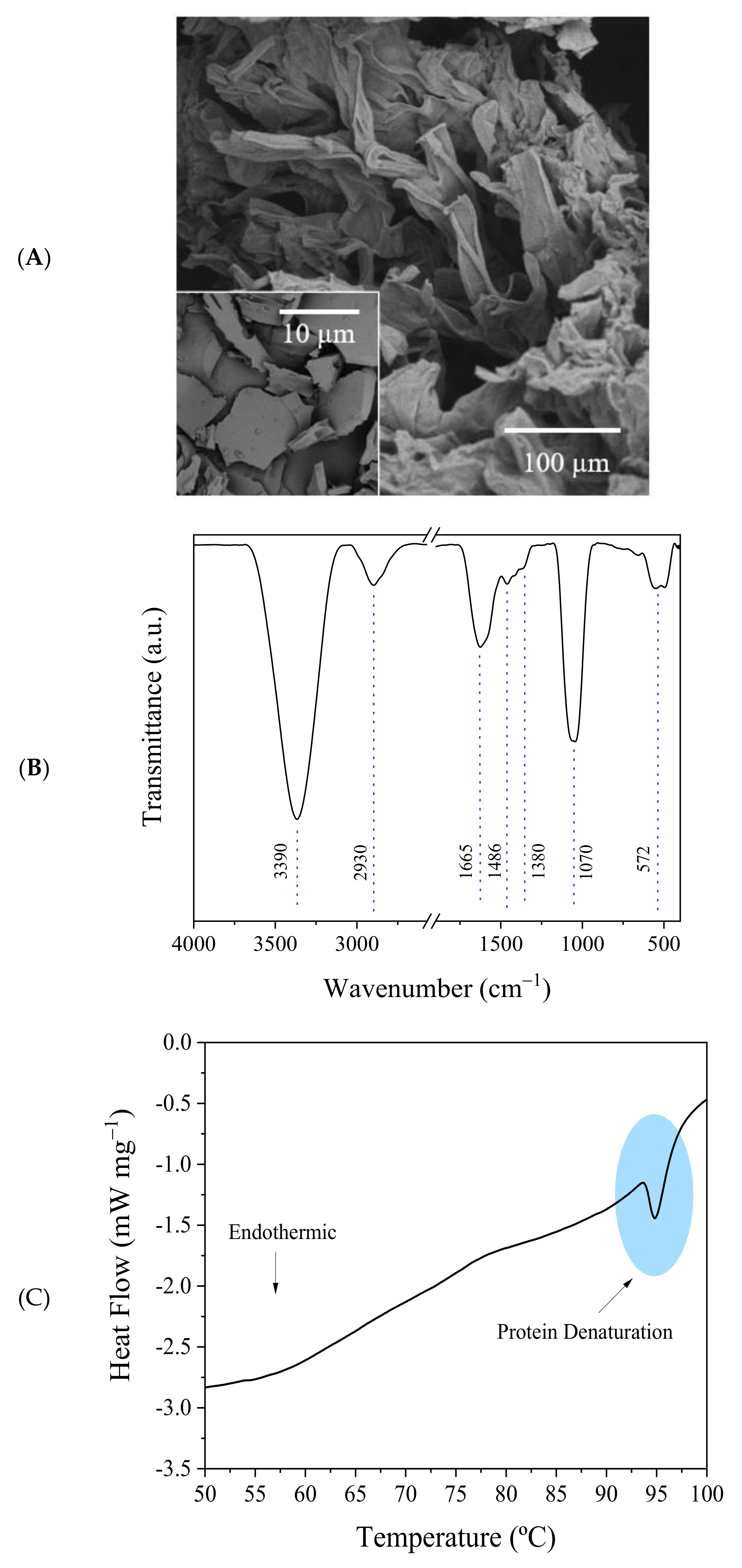 Biosensors 13 00224 g002