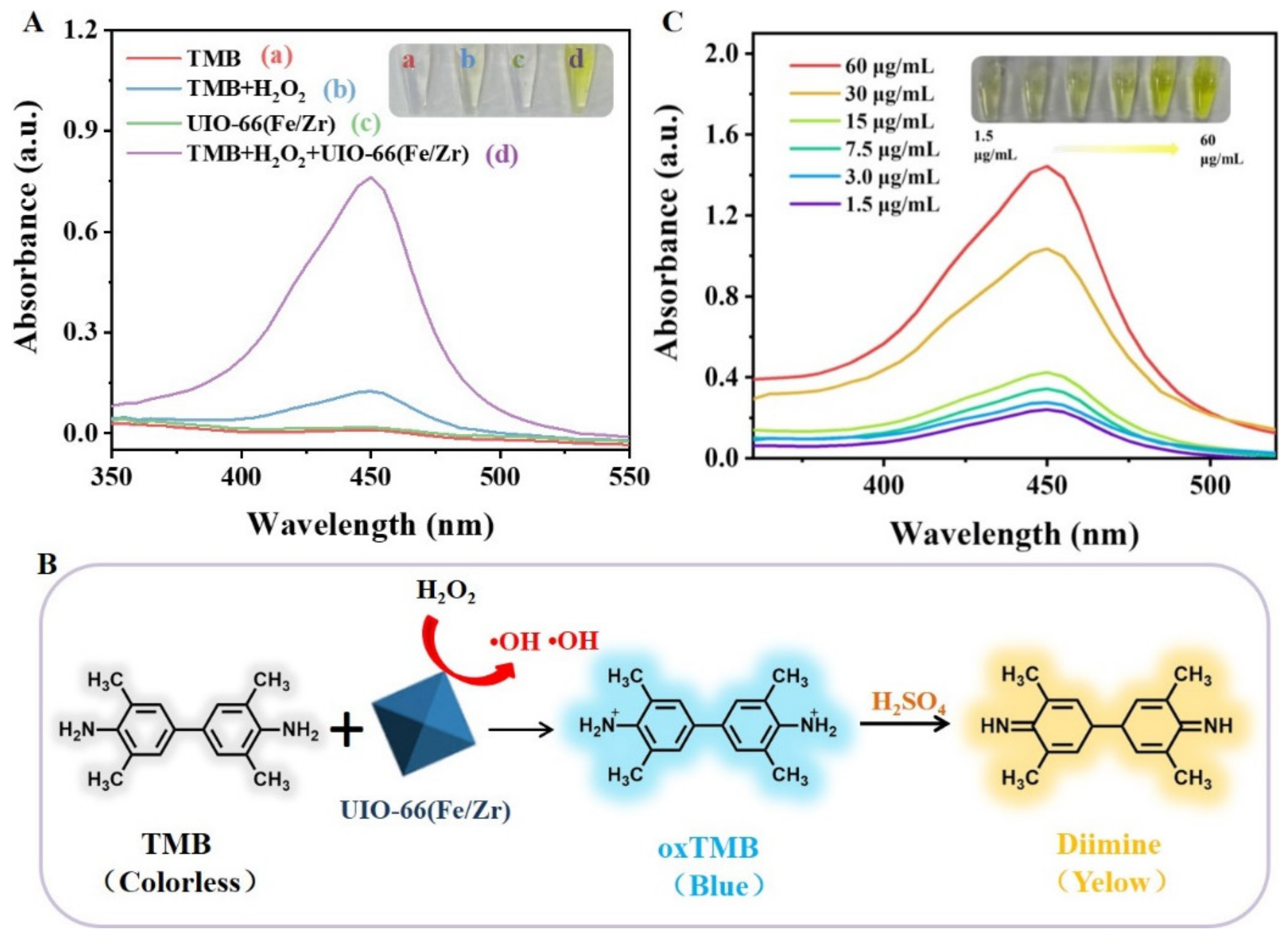 Biosensors 13 00225 g003