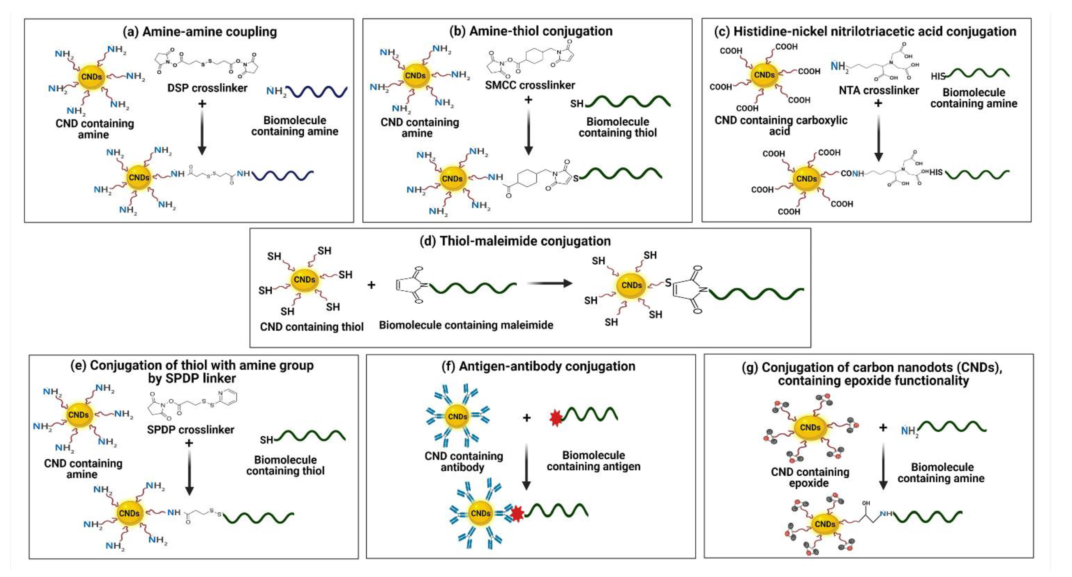 Biosensors 13 00226 g004