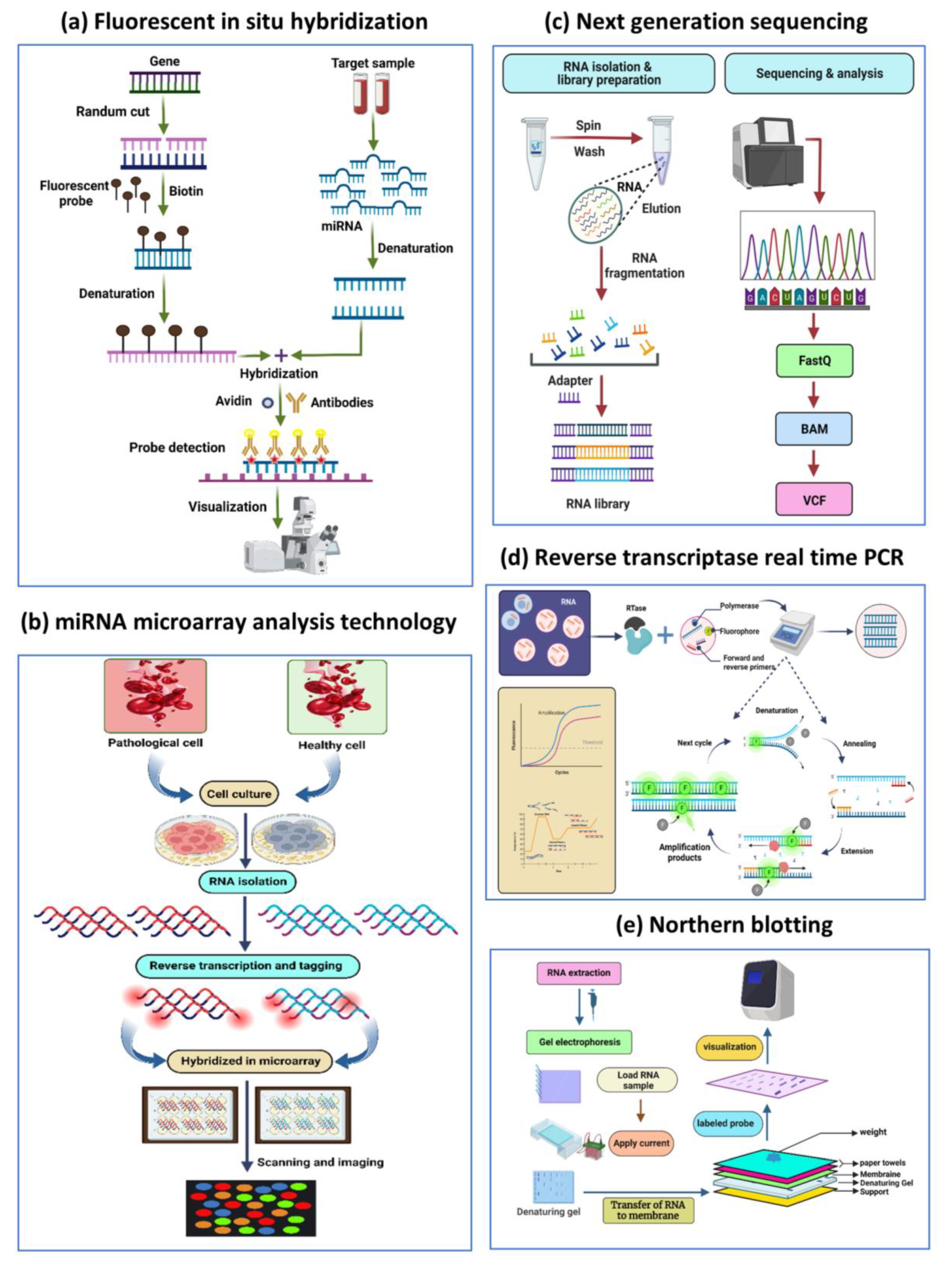 Biosensors 13 00226 g006
