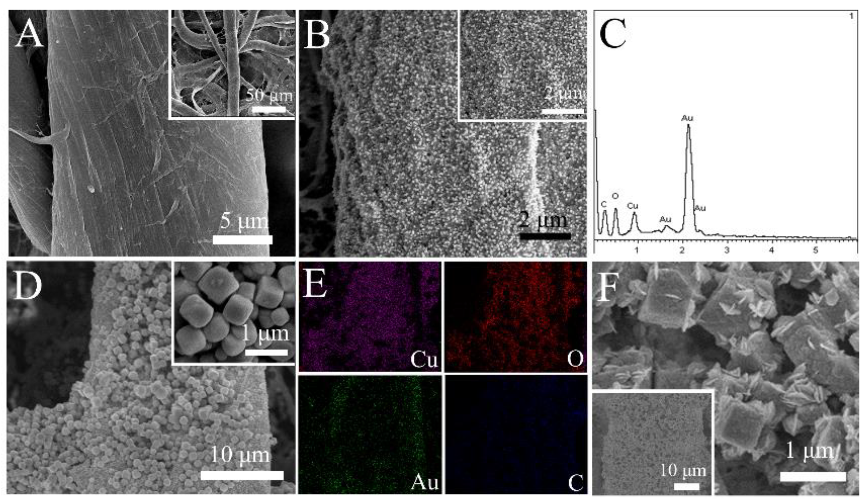 Biosensors 13 00227 g002