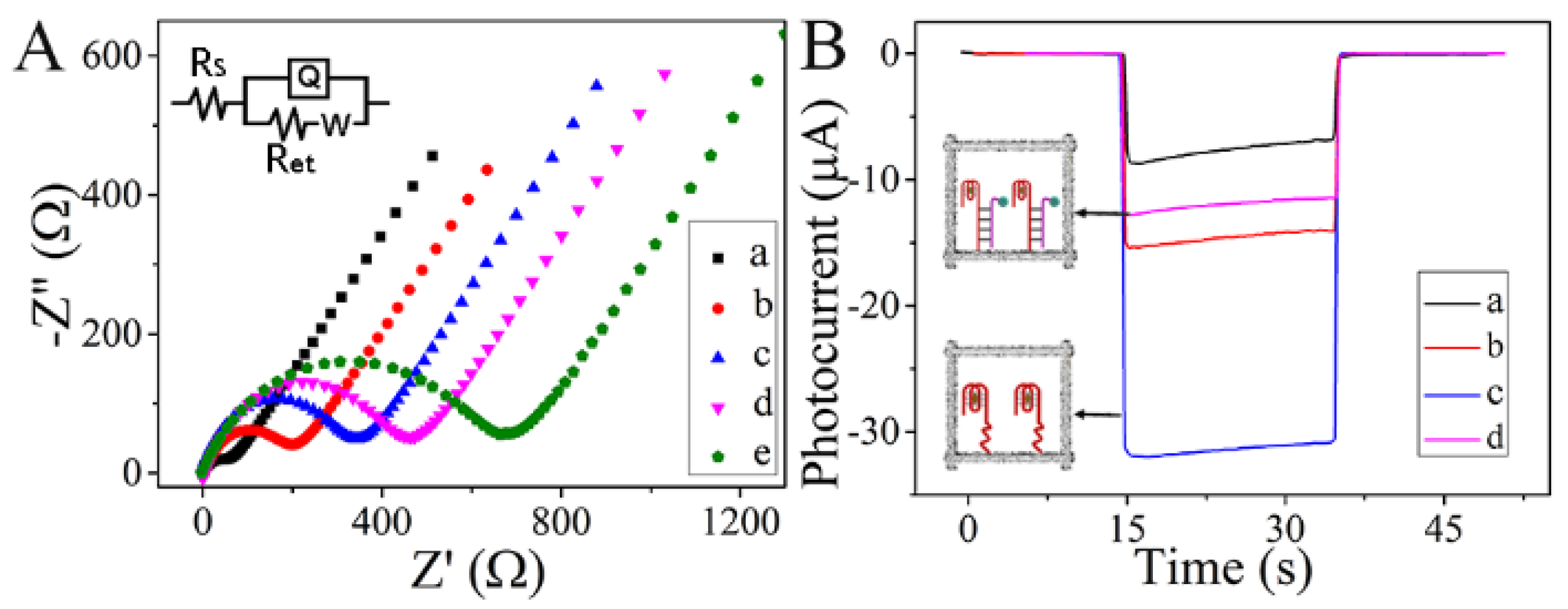 Biosensors 13 00227 g005