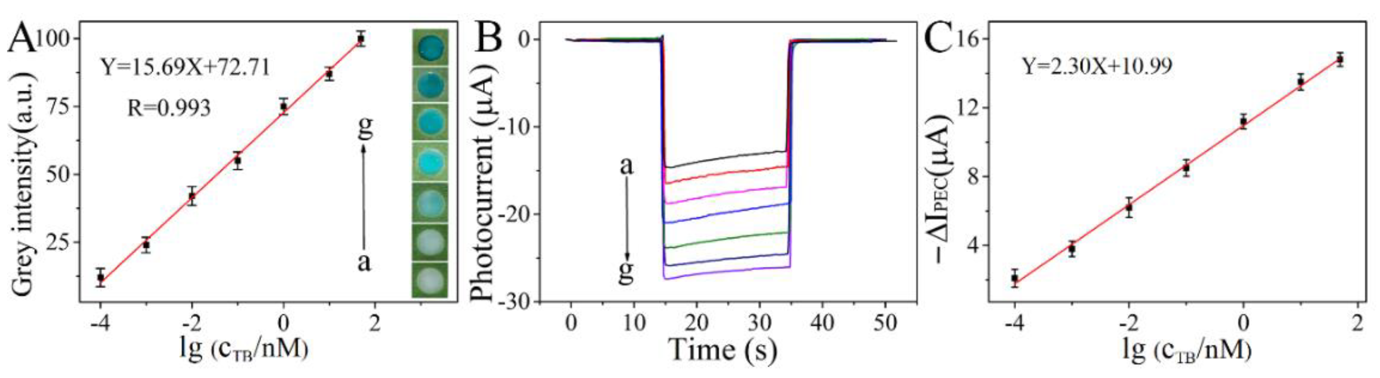 Biosensors 13 00227 g006