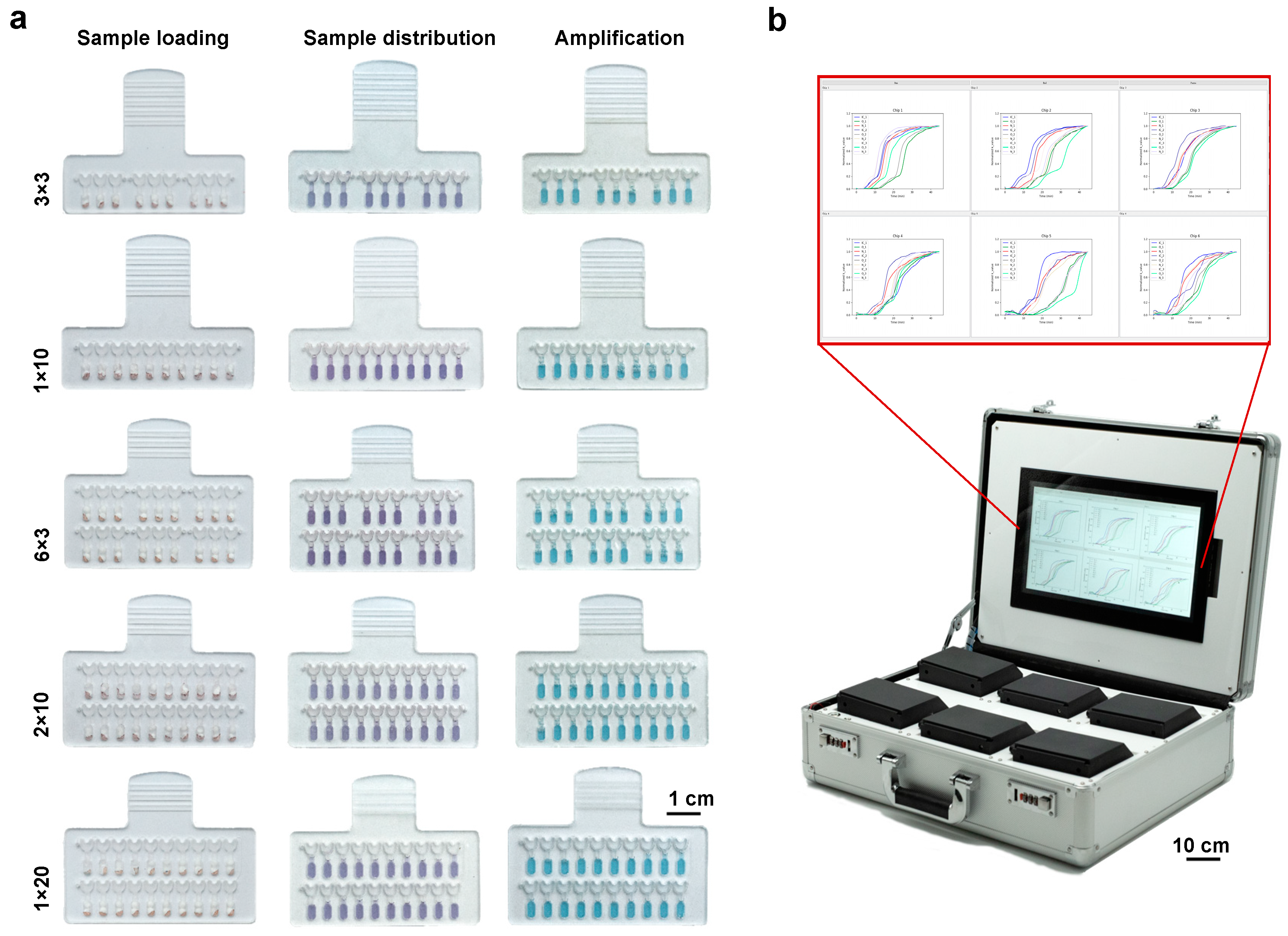 Biosensors 13 00228 g005 550