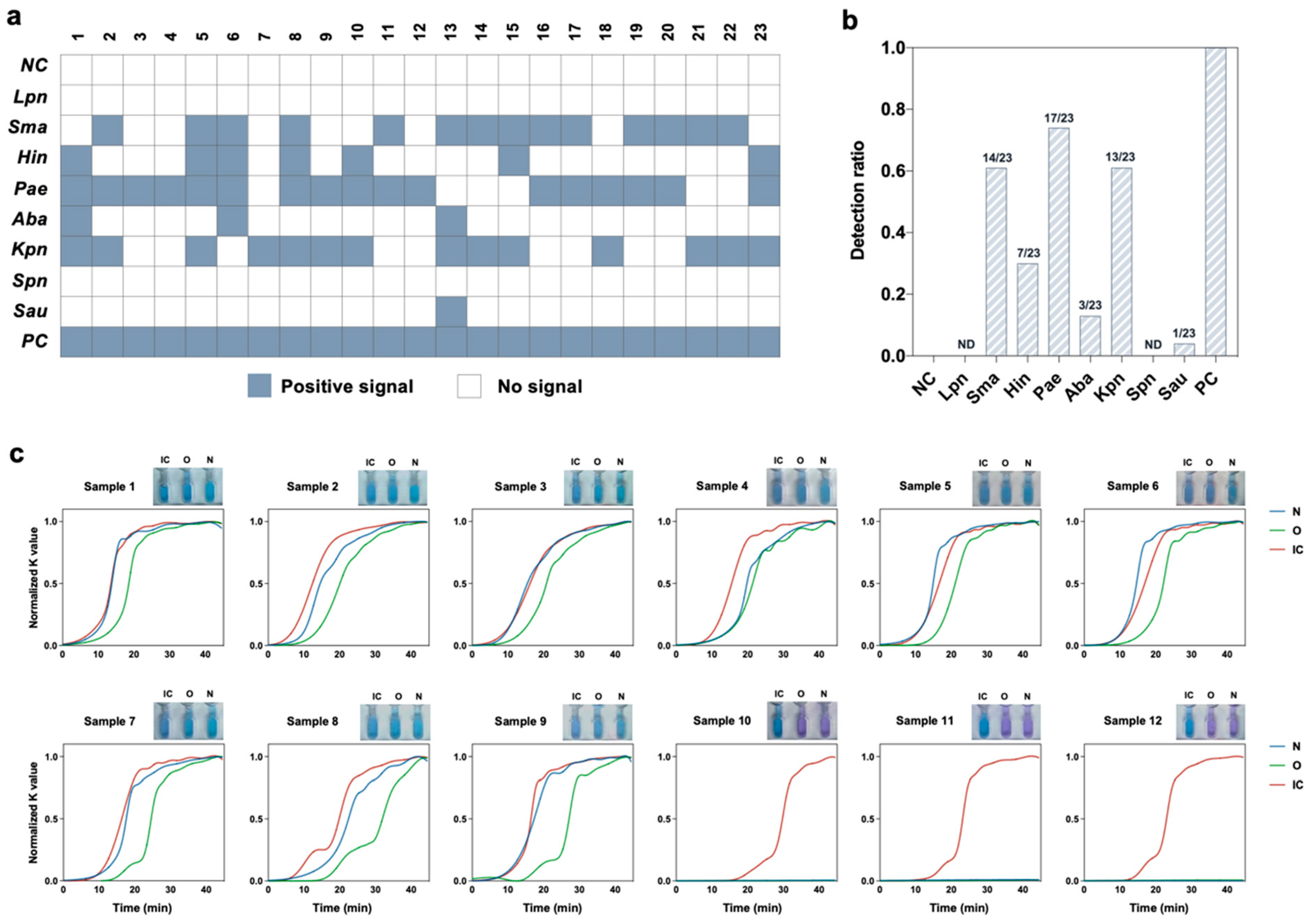 Biosensors 13 00228 g006 550