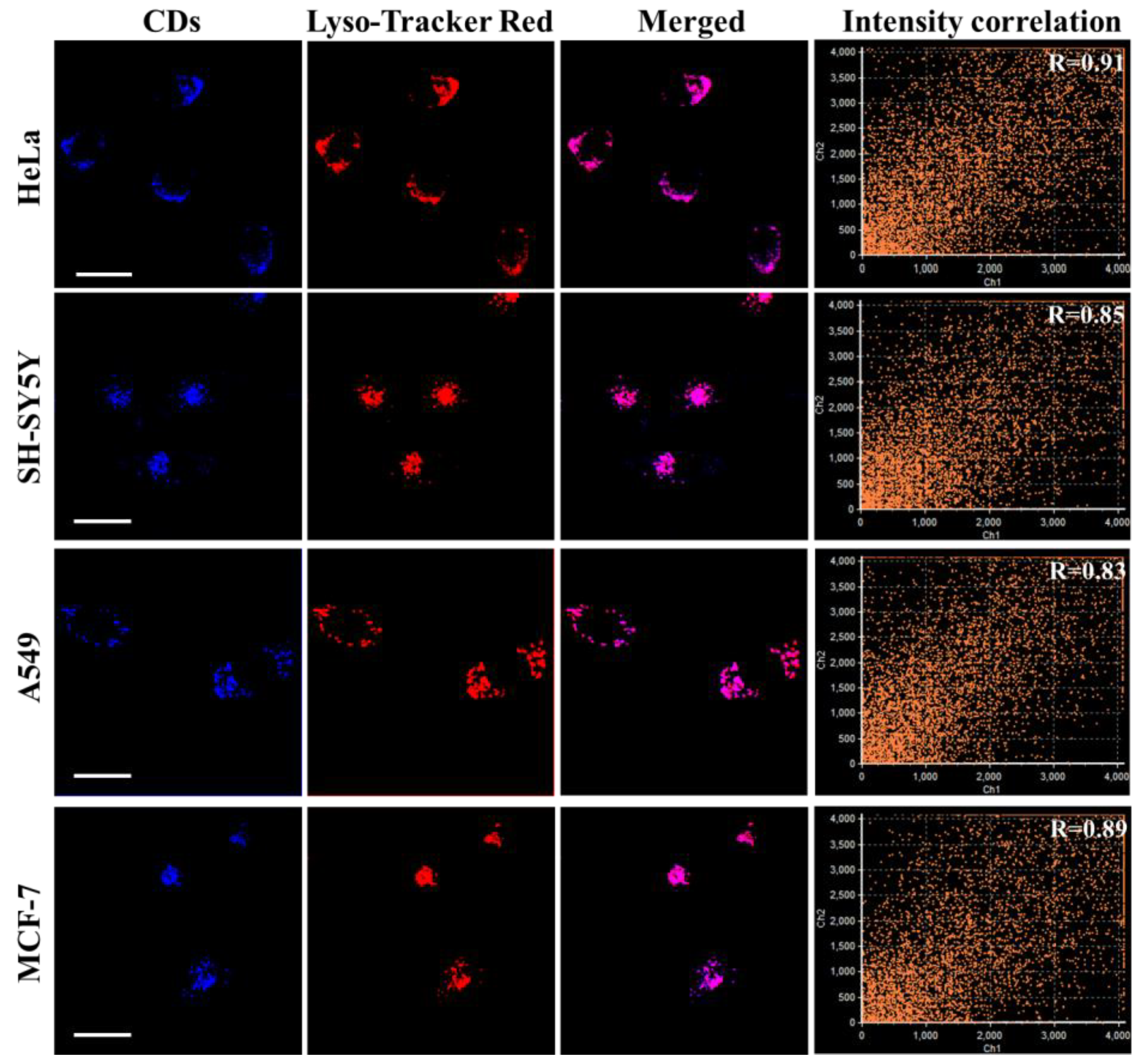 Biosensors 13 00230 g006