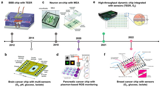 Biosensors | Free Full-Text | In Vitro Tumor Models on Chip and ...