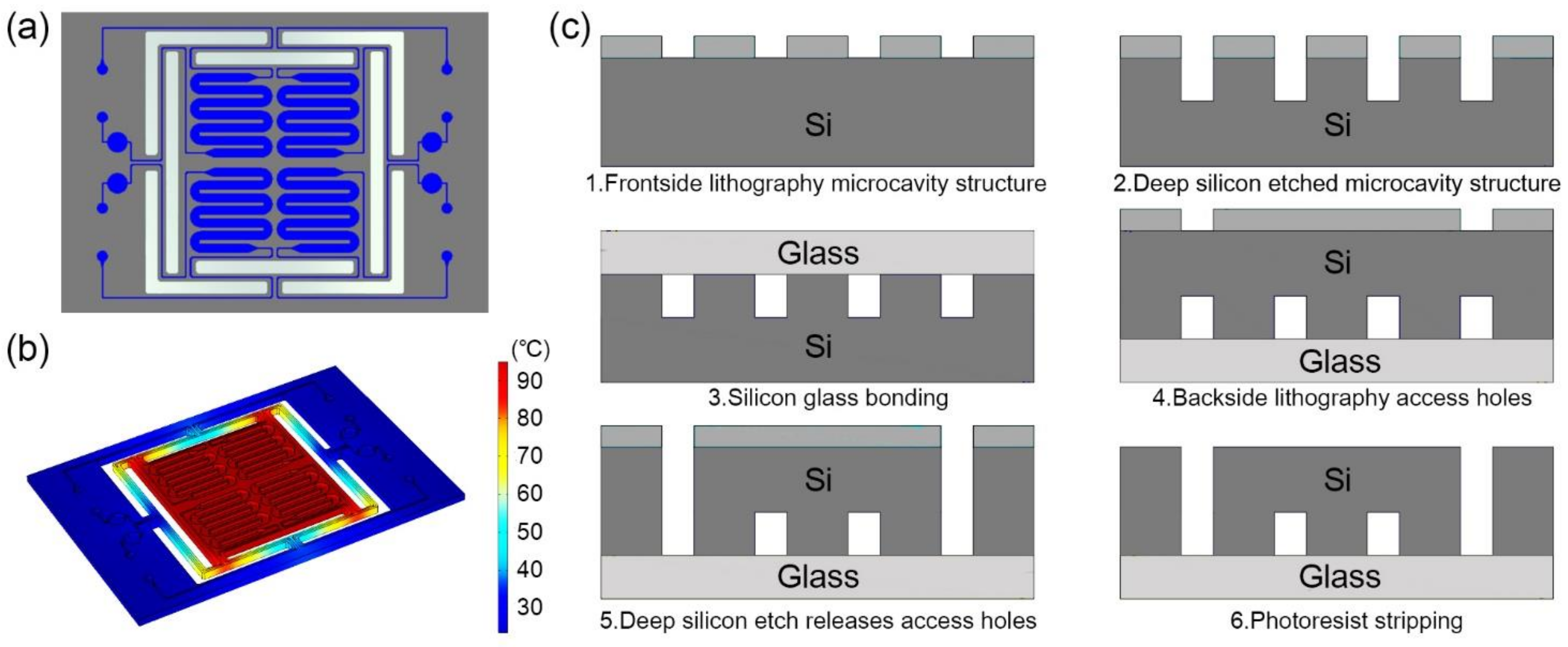 Biosensors 13 00234 g001 Biosensors 13 00234 g001