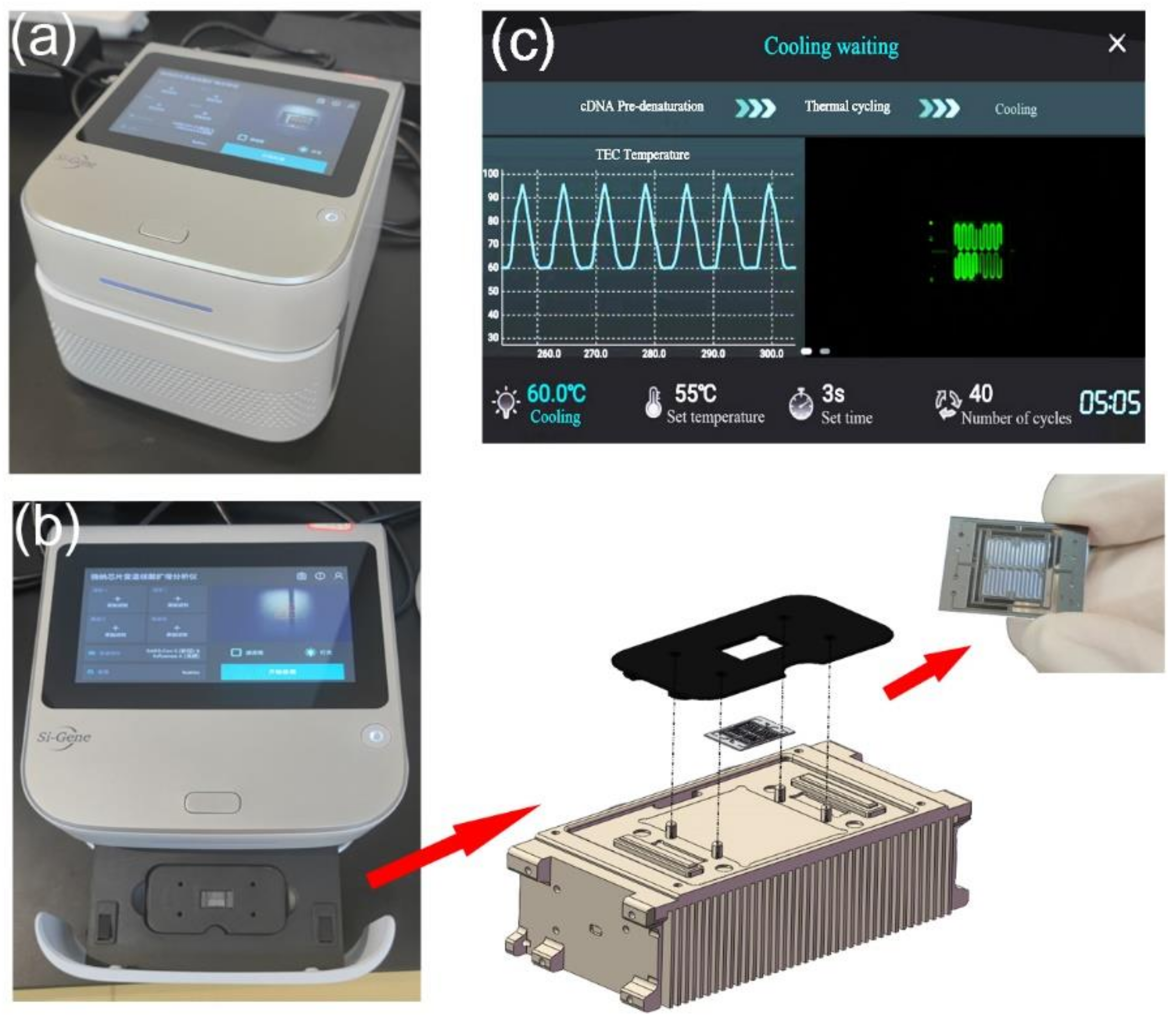 Biosensors 13 00234 g003 Biosensors 13 00234 g003