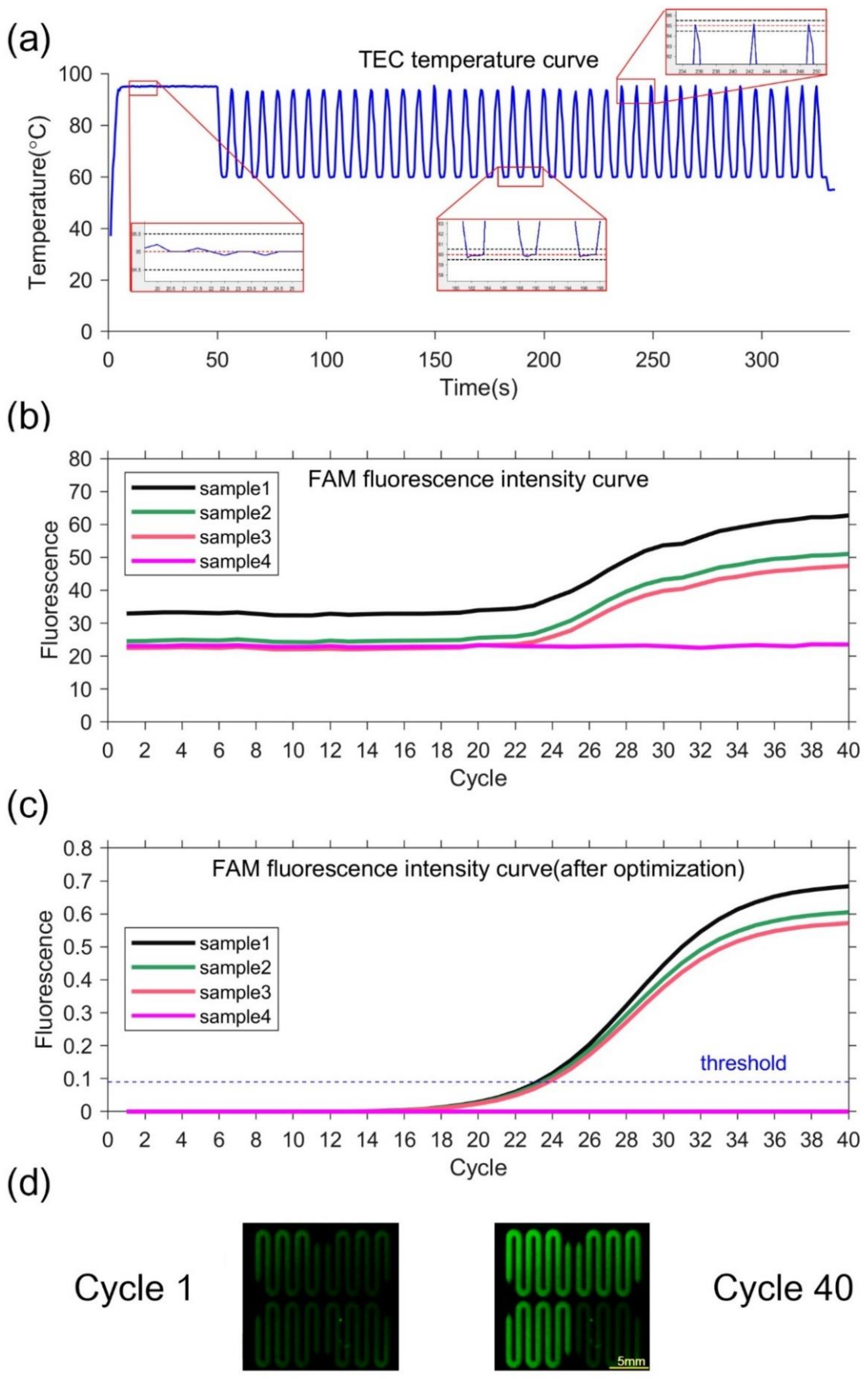 Biosensors 13 00234 g004 Biosensors 13 00234 g004