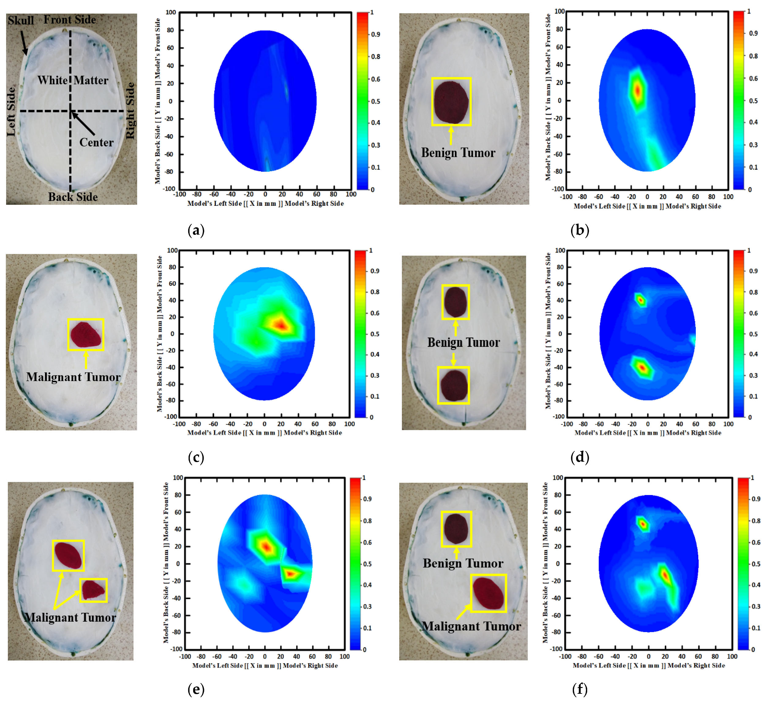 Biosensors 13 00238 g003 550