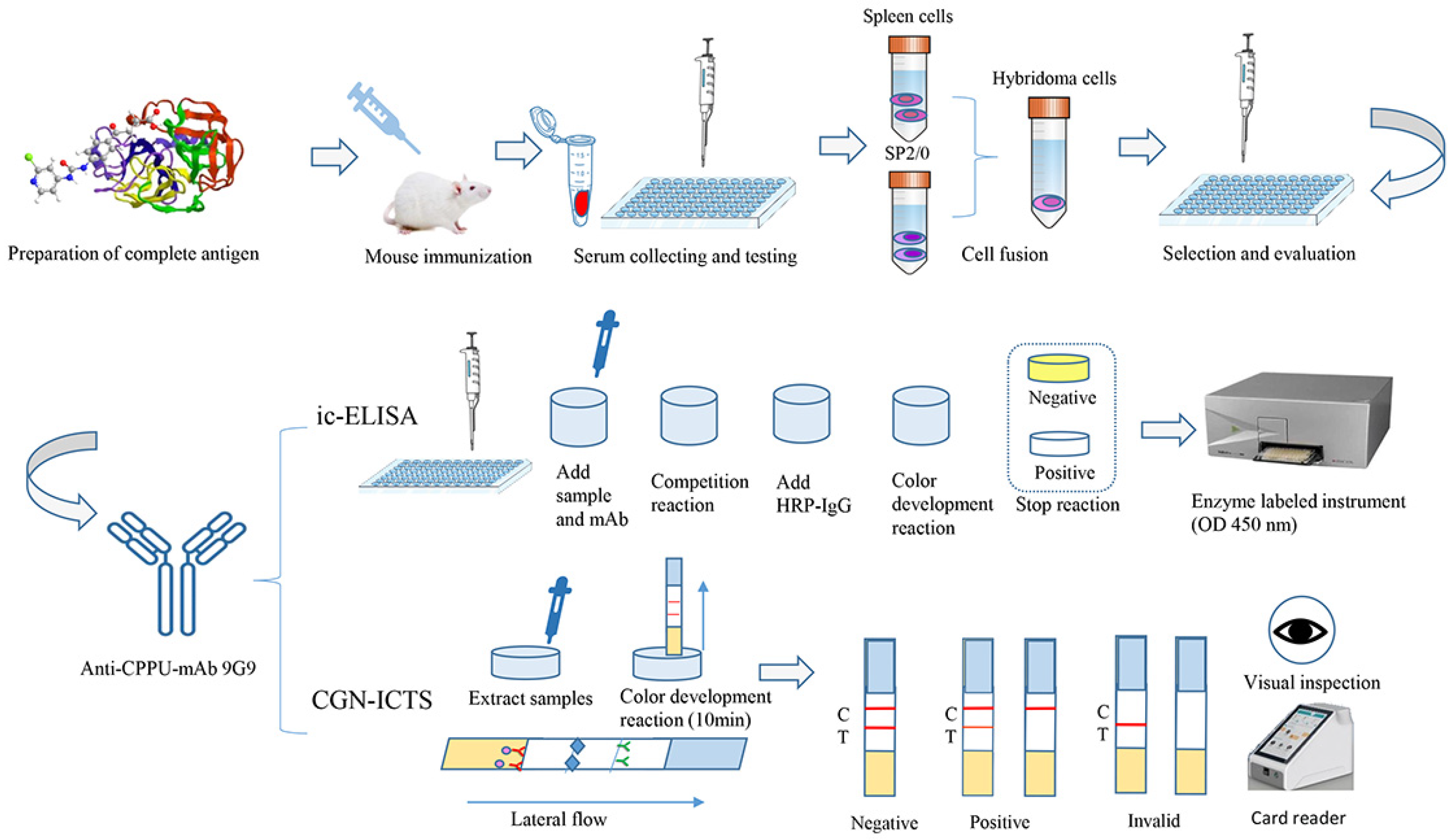 Biosensors 13 00239 g001 Biosensors 13 00239 g001