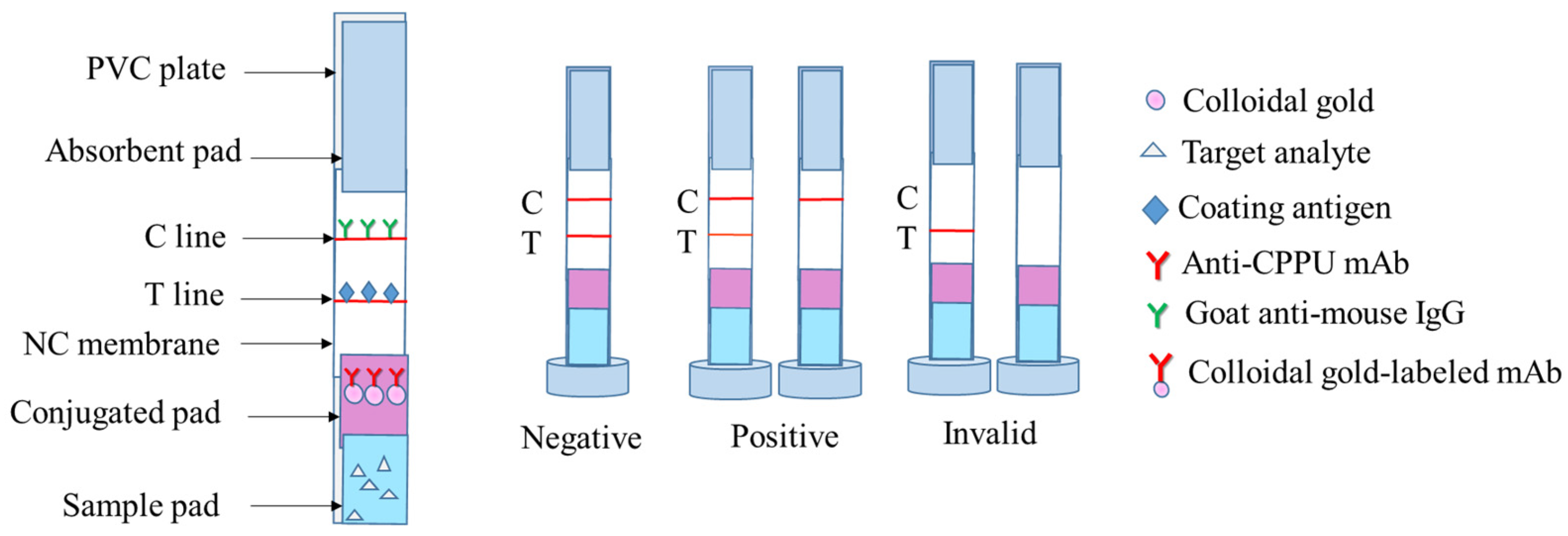 Biosensors 13 00239 g002 Biosensors 13 00239 g002