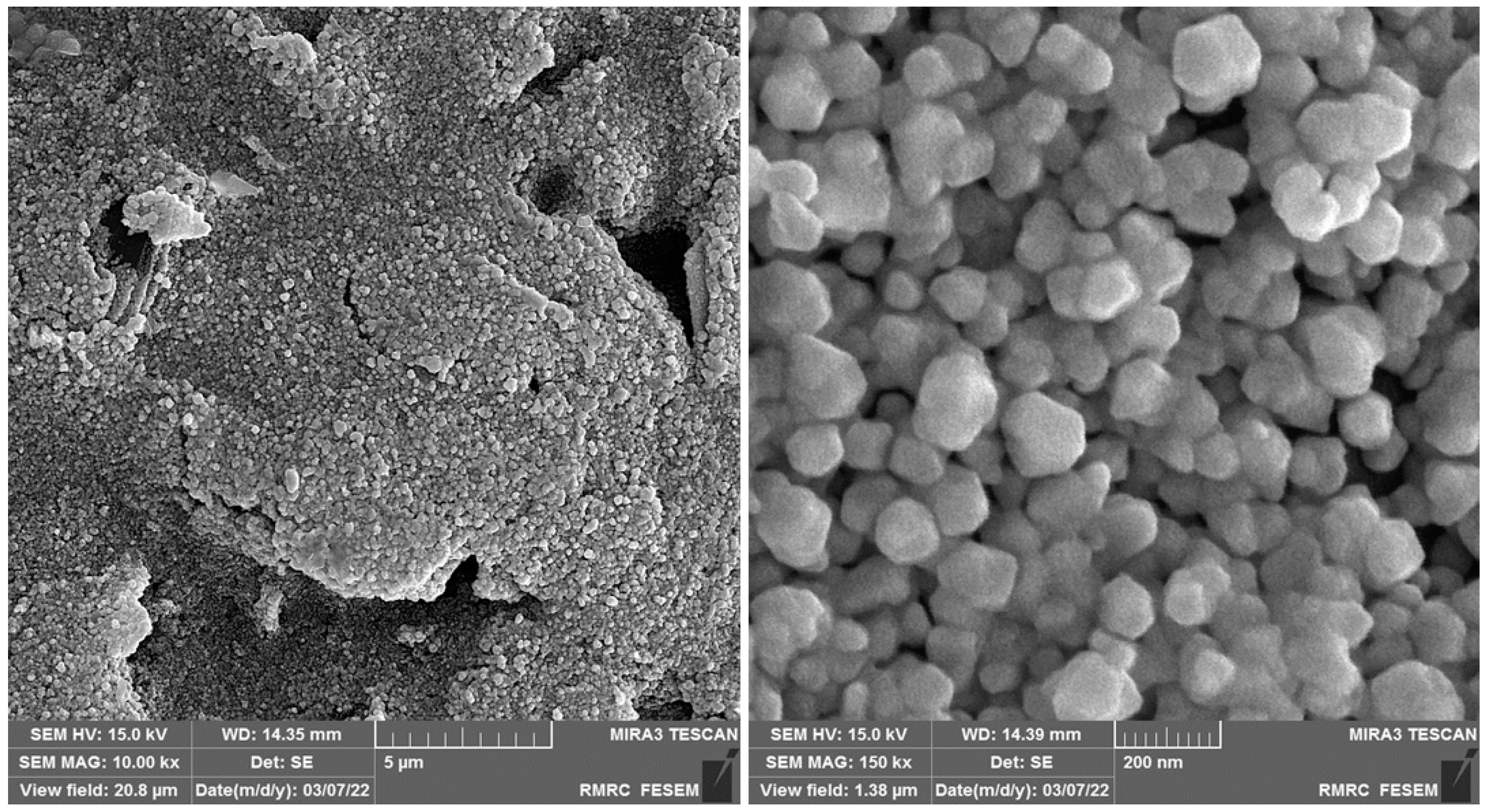 Biosensors 13 00244 g001 550