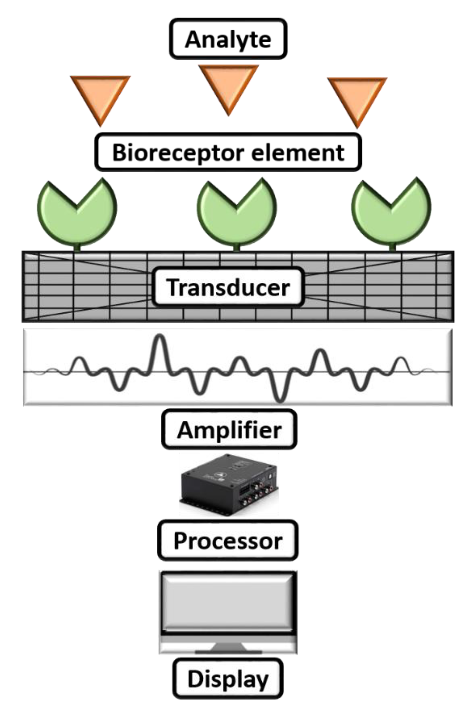 Biosensors 13 00246 g003 Biosensors 13 00246 g003