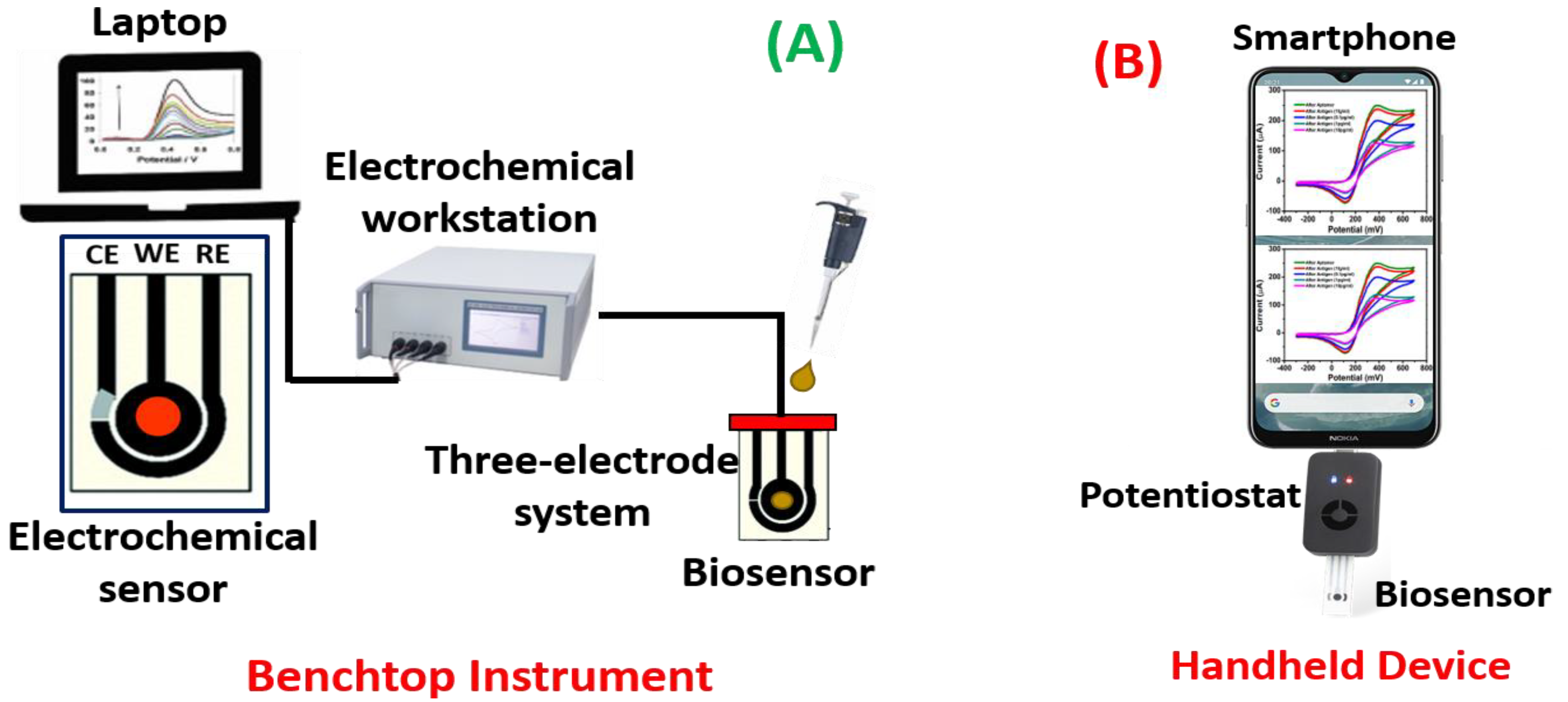 Biosensors 13 00246 g005 Biosensors 13 00246 g005