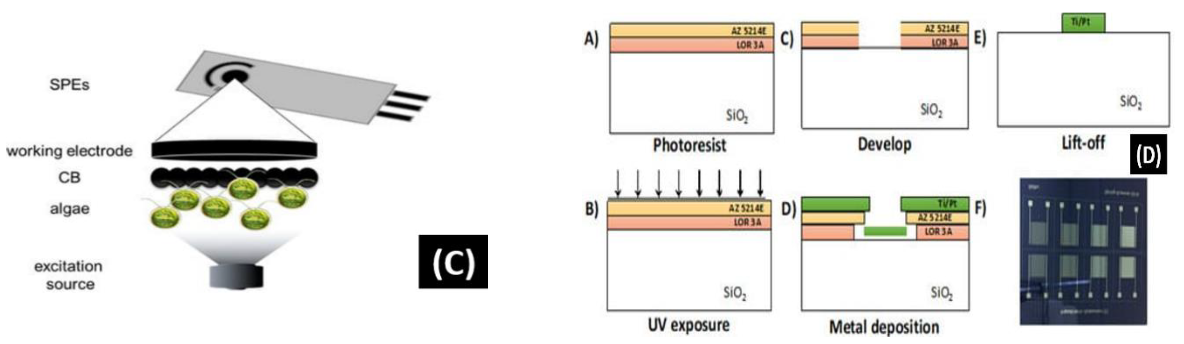 Biosensors 13 00246 g007b Biosensors 13 00246 g007b
