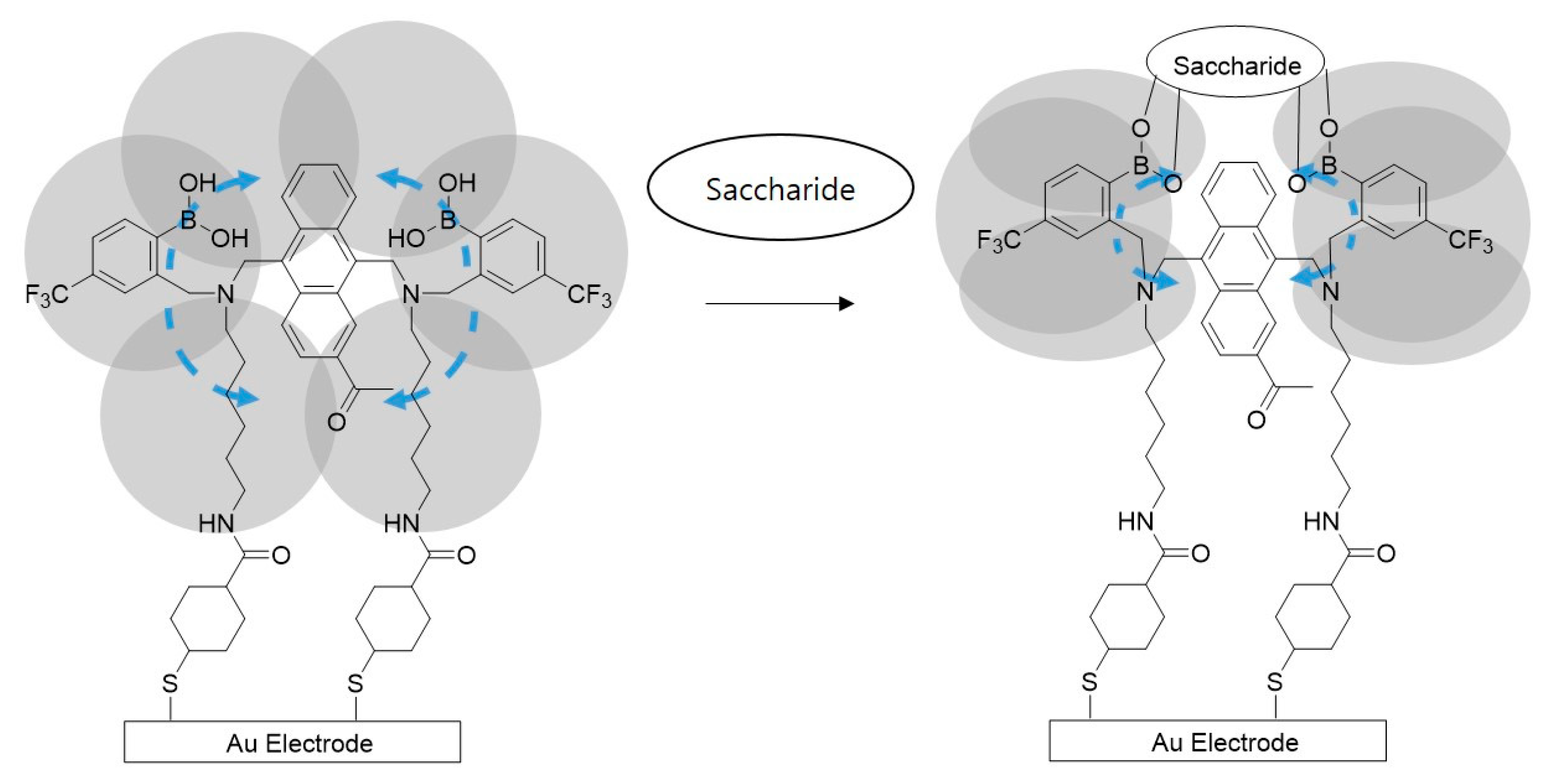 Biosensors 13 00248 g005