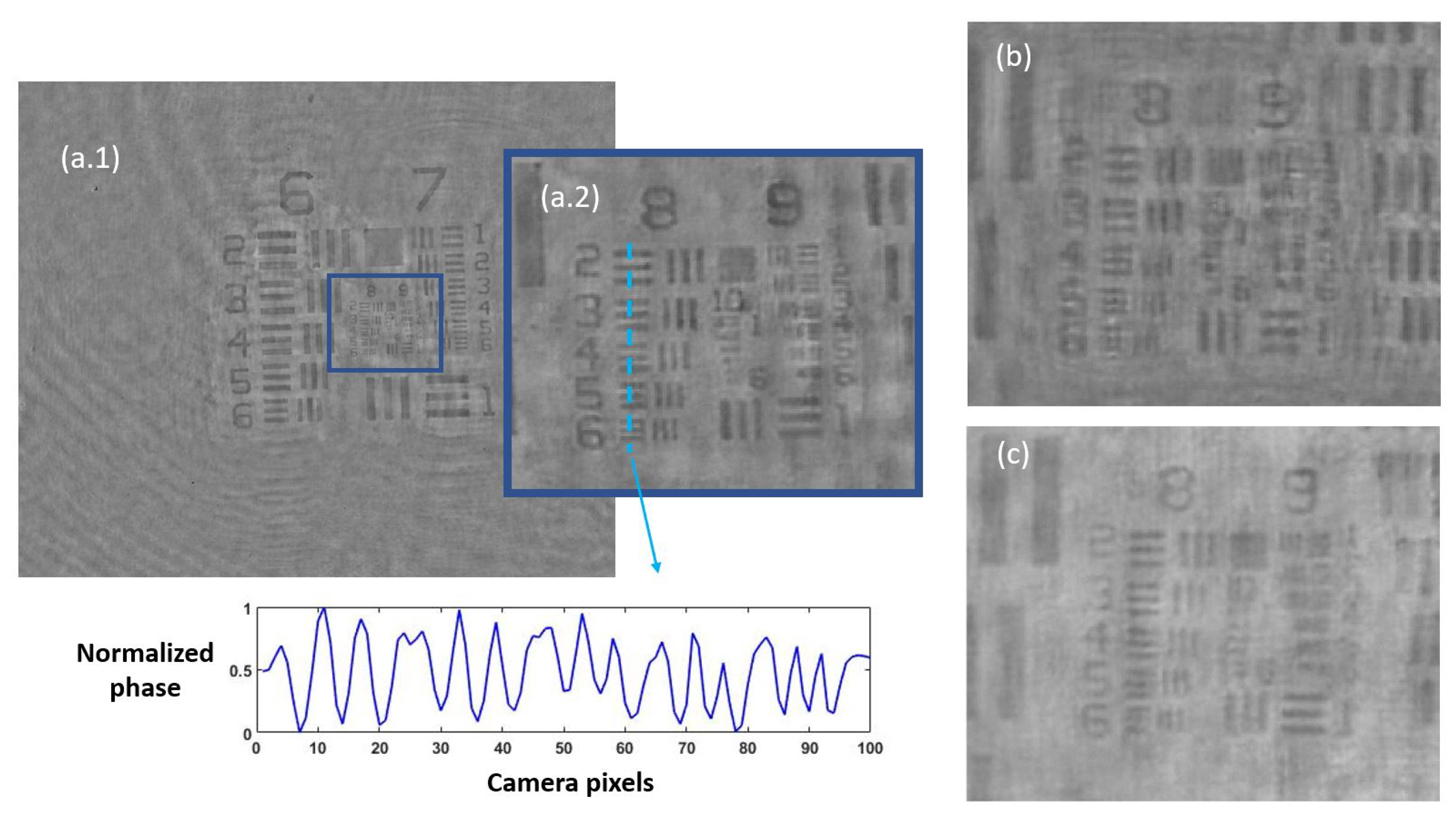 Biosensors 13 00253 g002 550