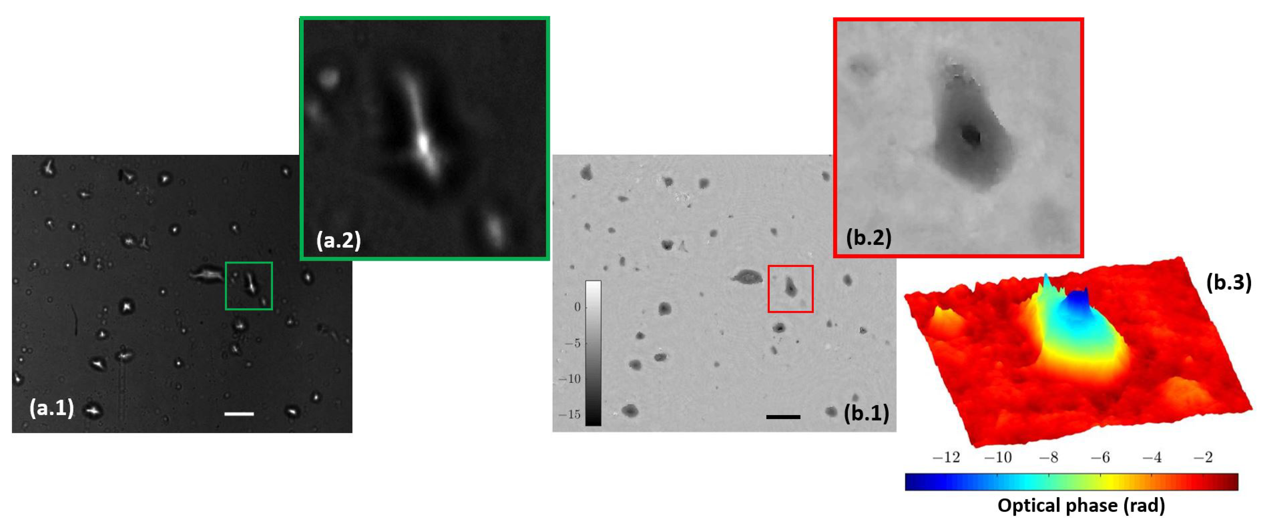 Biosensors 13 00253 g008 550