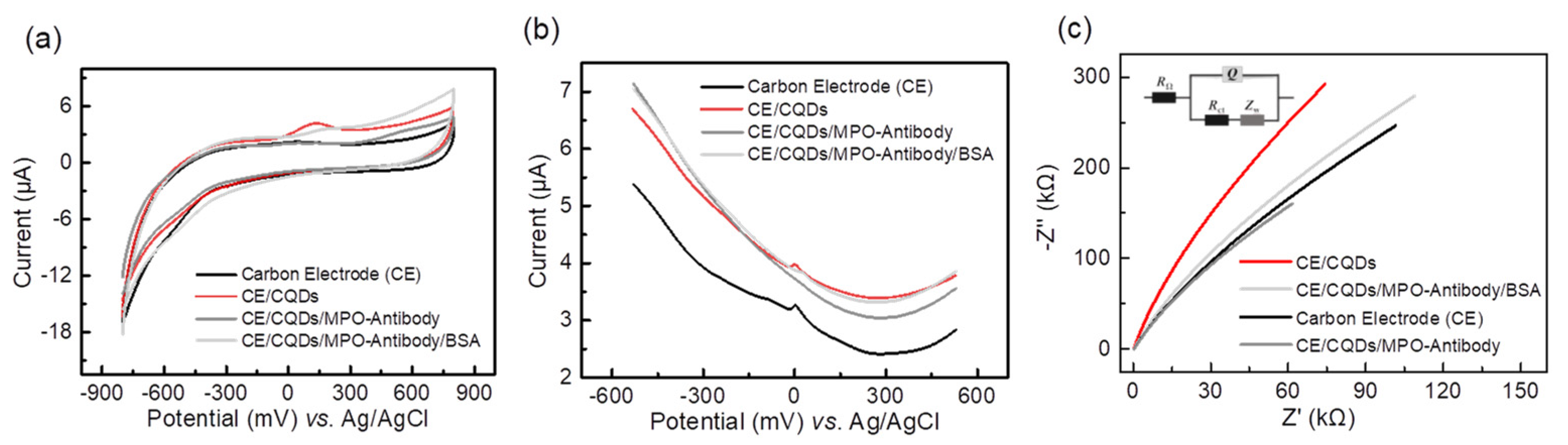 Biosensors 13 00255 g004 550