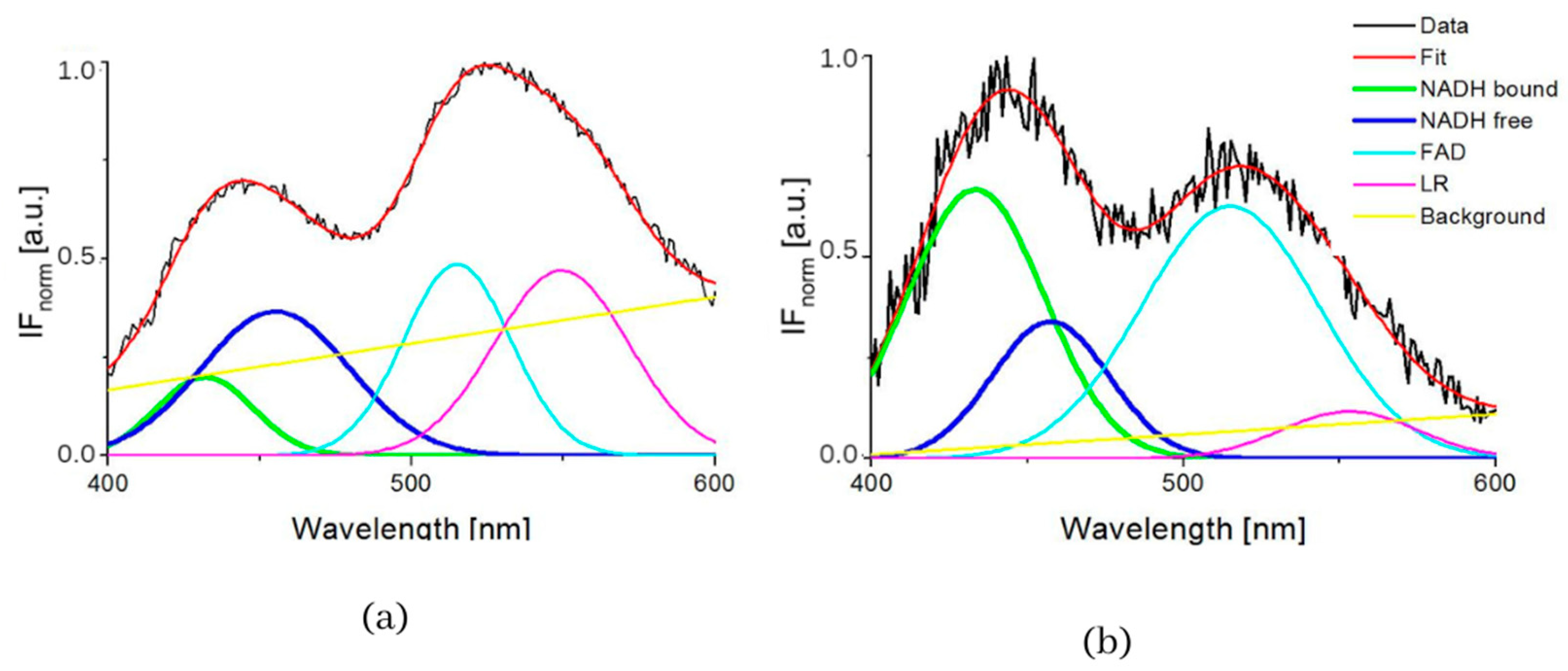 Biosensors 13 00256 g002 Biosensors 13 00256 g002