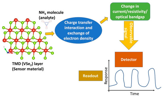 Defect-Engineering of 2D Dichalcogenide VSe2 to Enhance Ammonia 