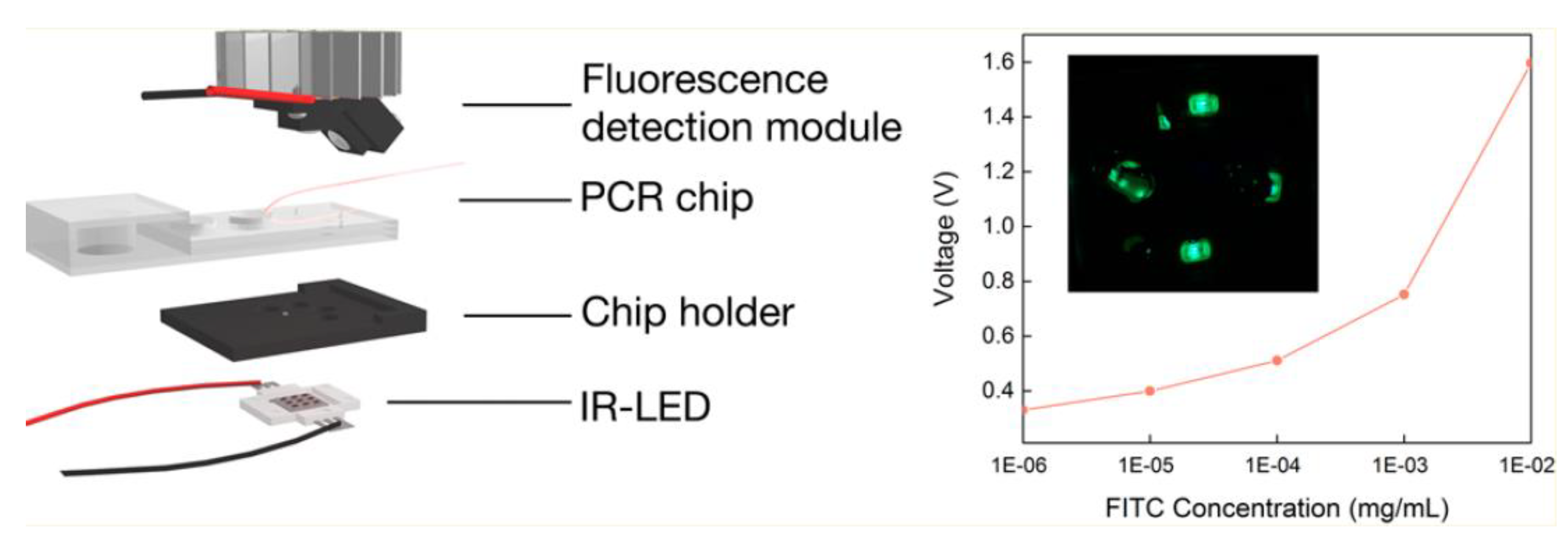 Biosensors 13 00260 g004 Biosensors 13 00260 g004