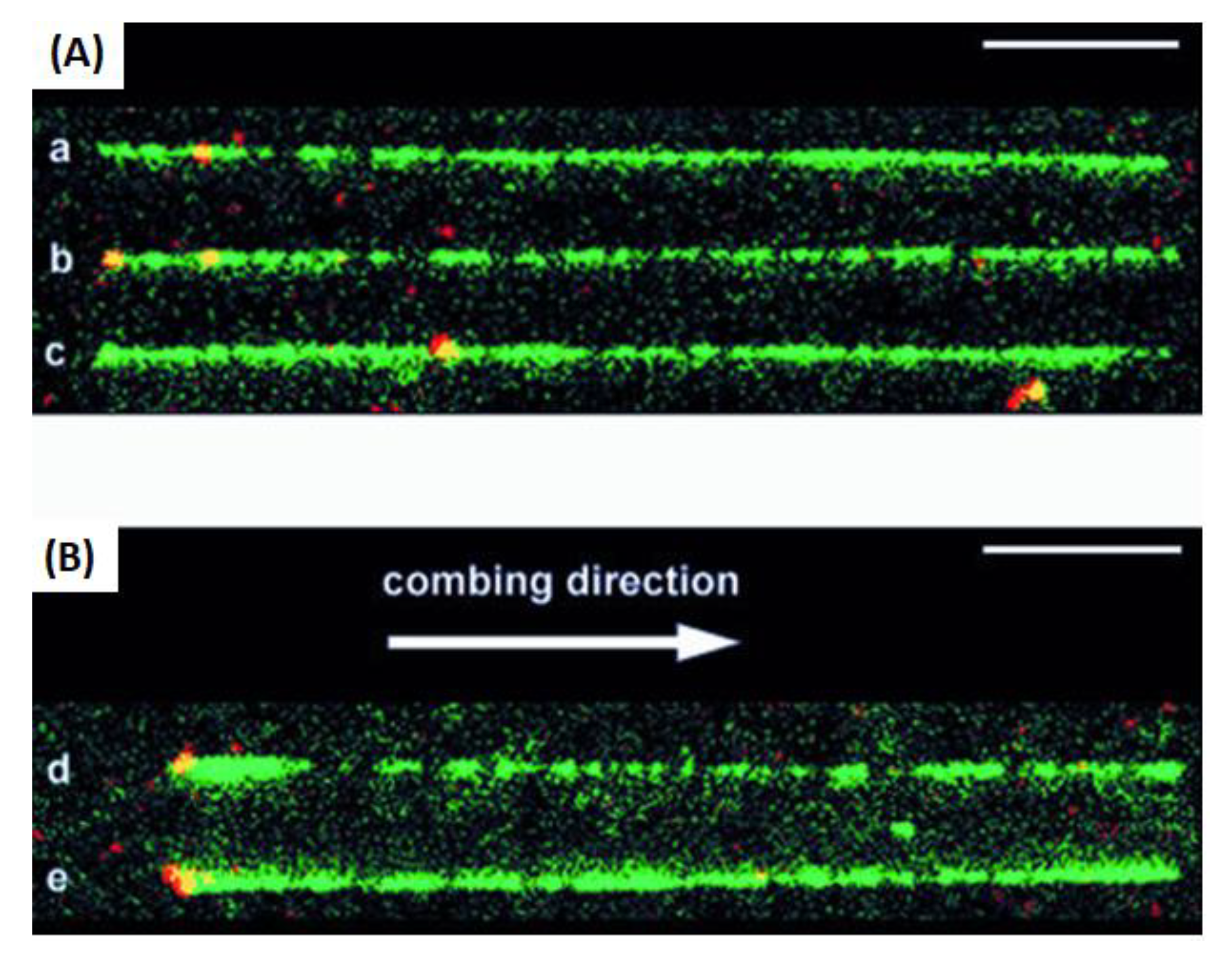 Biosensors 13 00260 g008 Biosensors 13 00260 g008