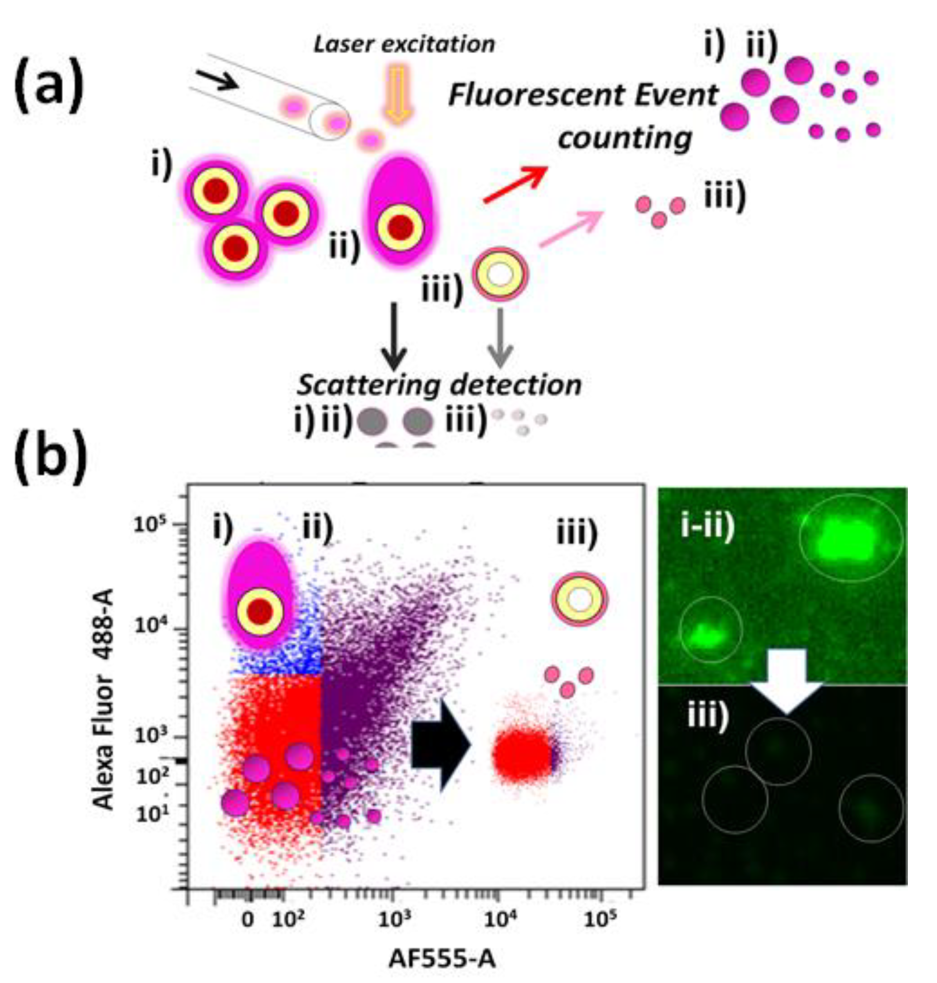 Biosensors 13 00260 g015 Biosensors 13 00260 g015