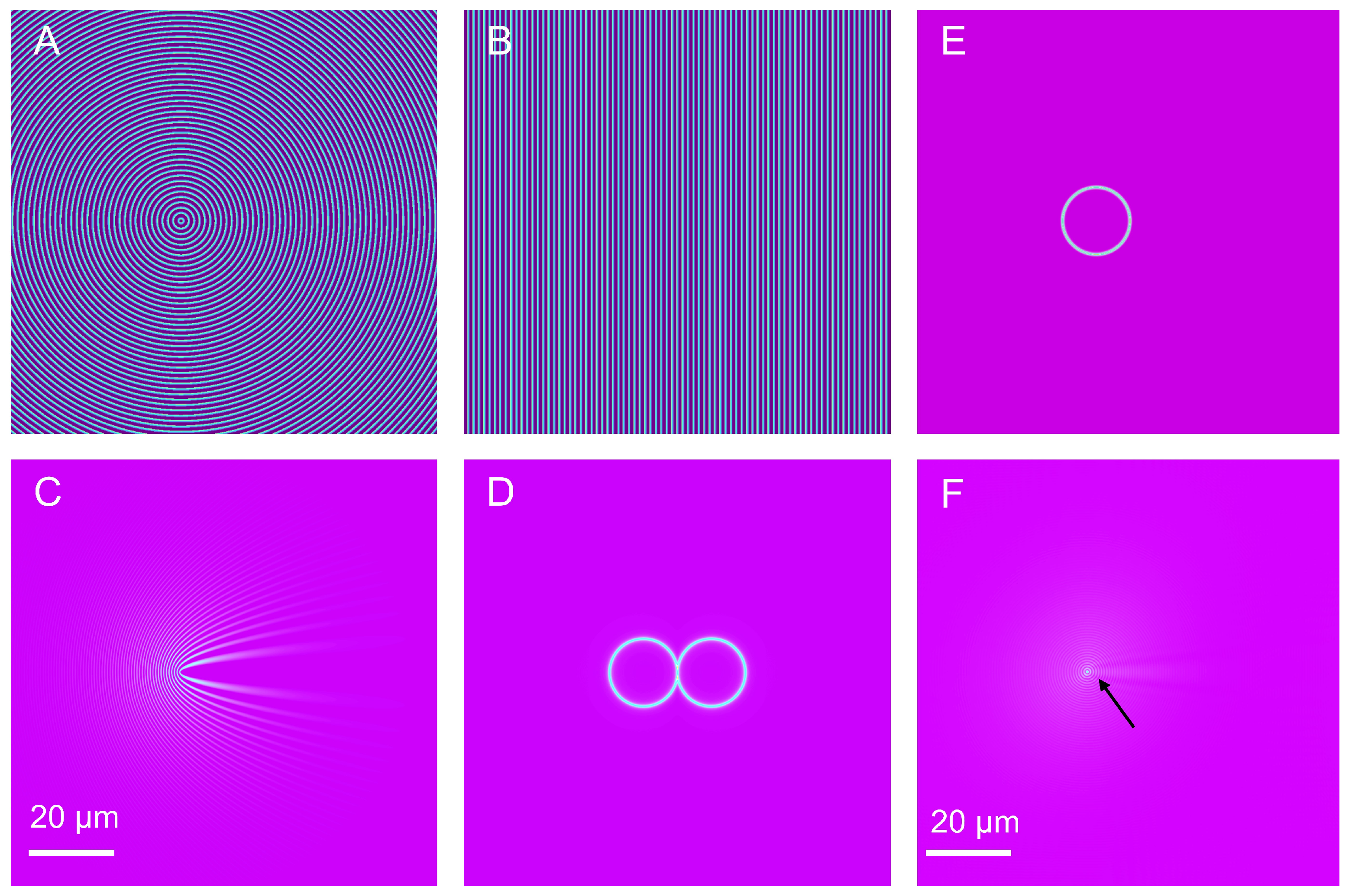 Biosensors 13 00261 g002 550