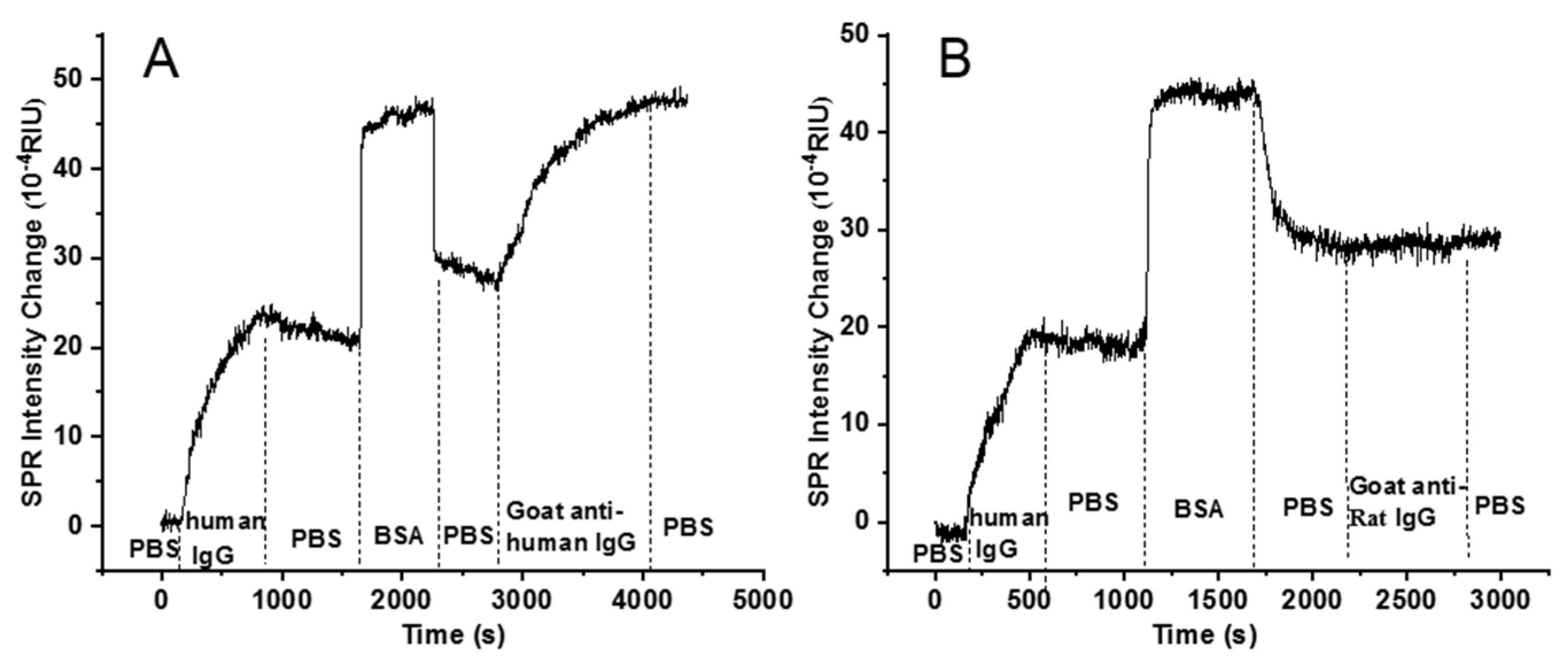 Biosensors 13 00261 g003 550
