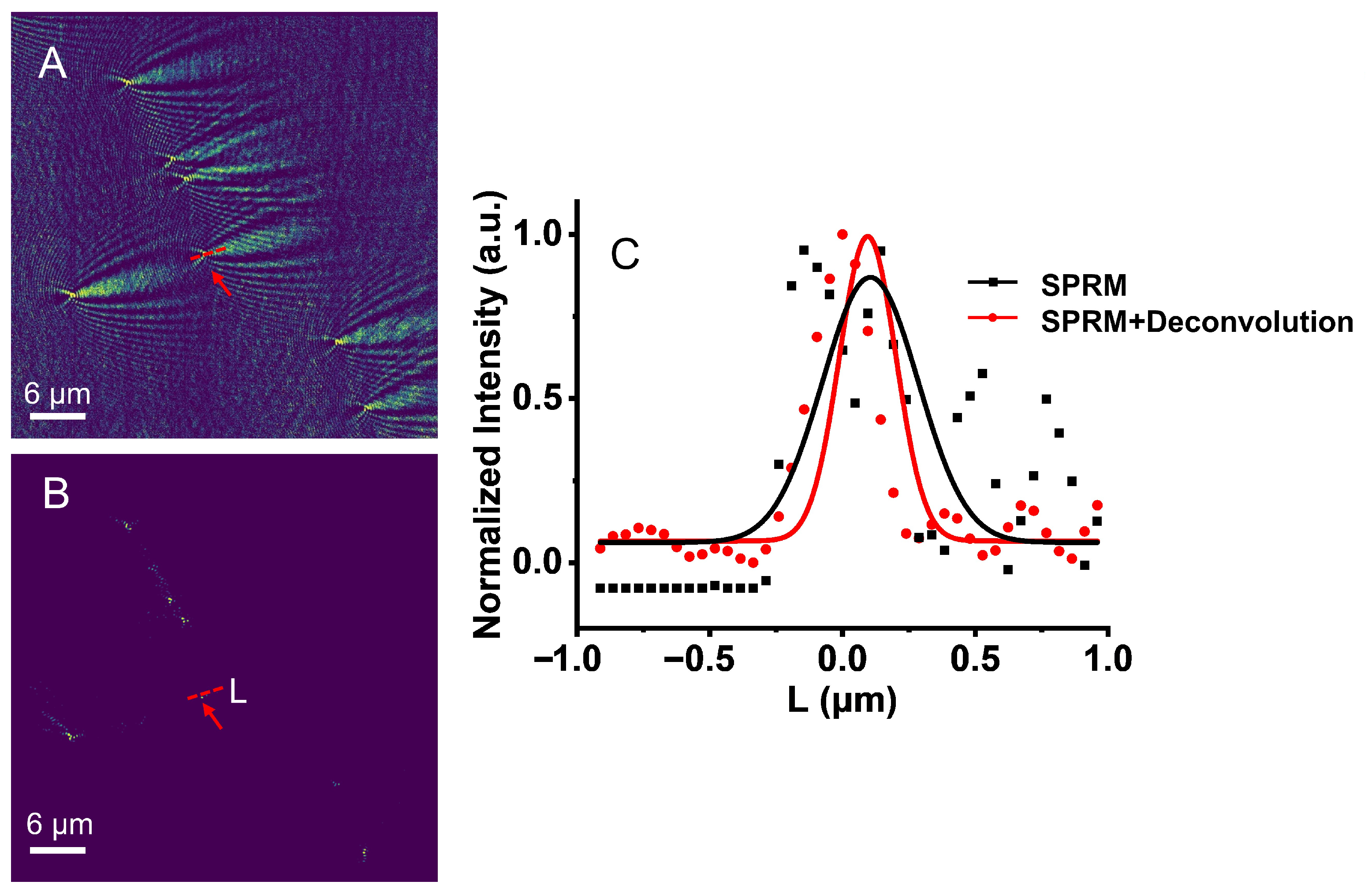 Biosensors 13 00261 g006 550