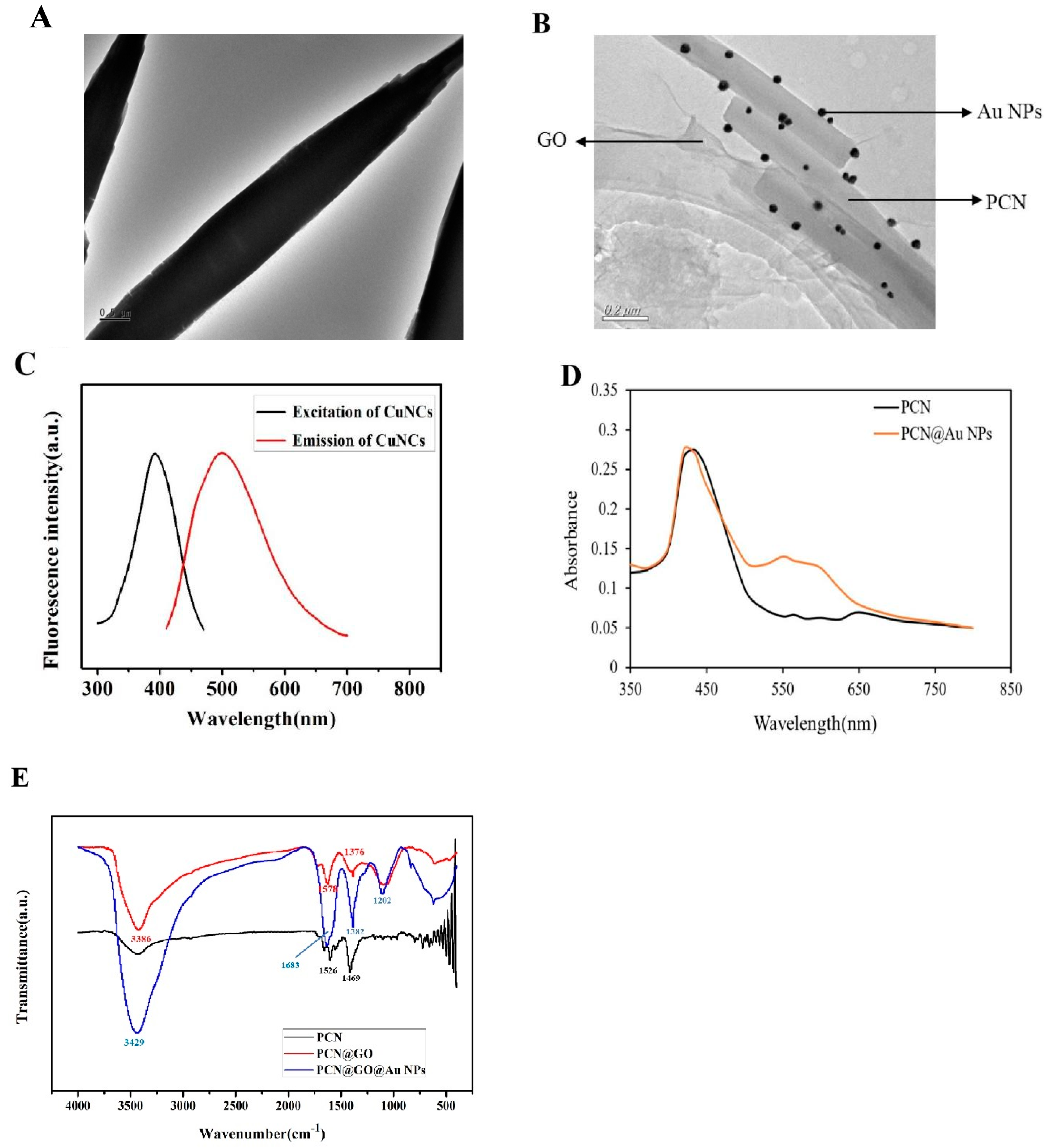 Biosensors 13 00263 g002 Biosensors 13 00263 g002