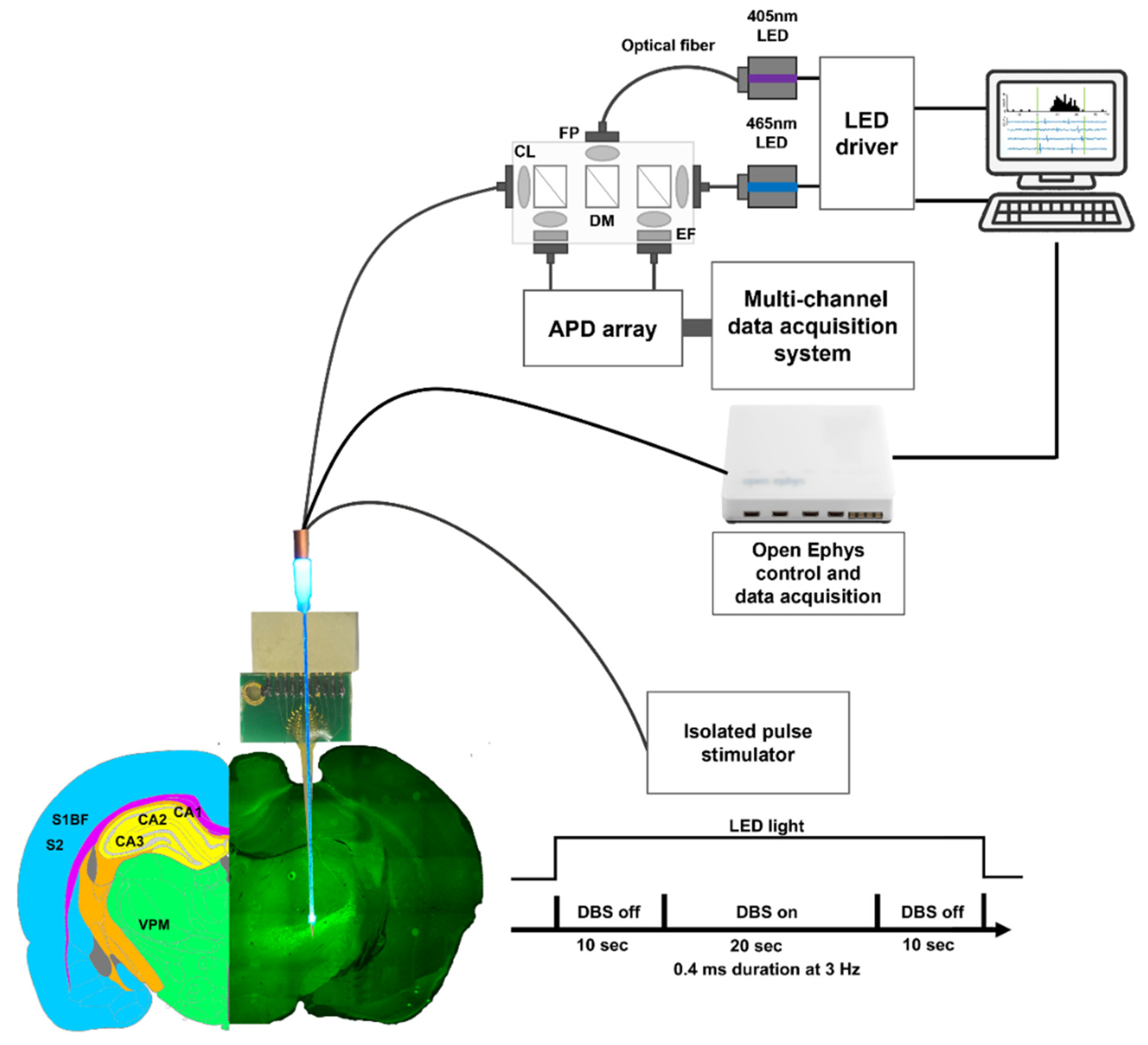 Biosensors 13 00265 g003 Biosensors 13 00265 g003