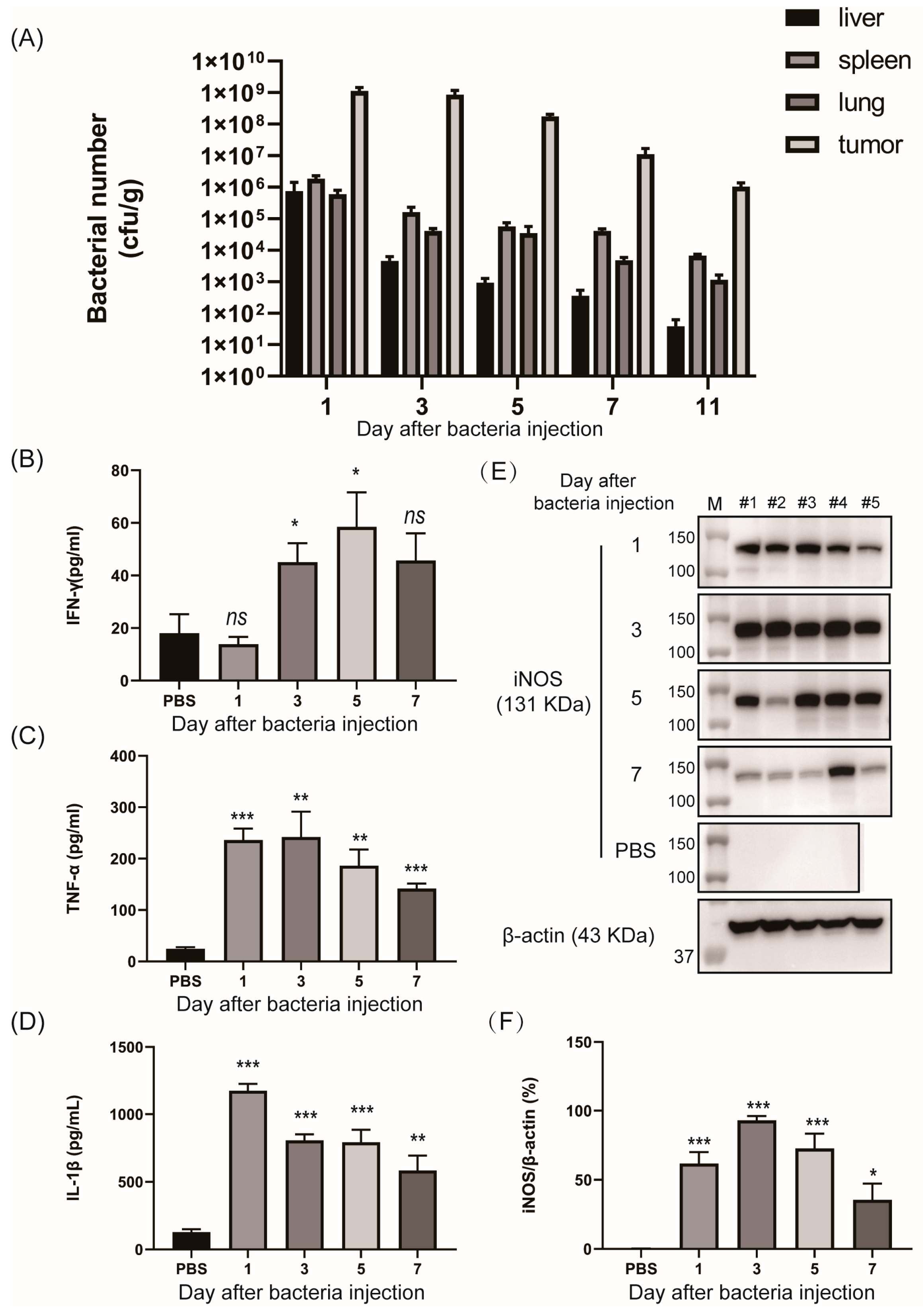 Biosensors 13 00266 g005 Biosensors 13 00266 g005