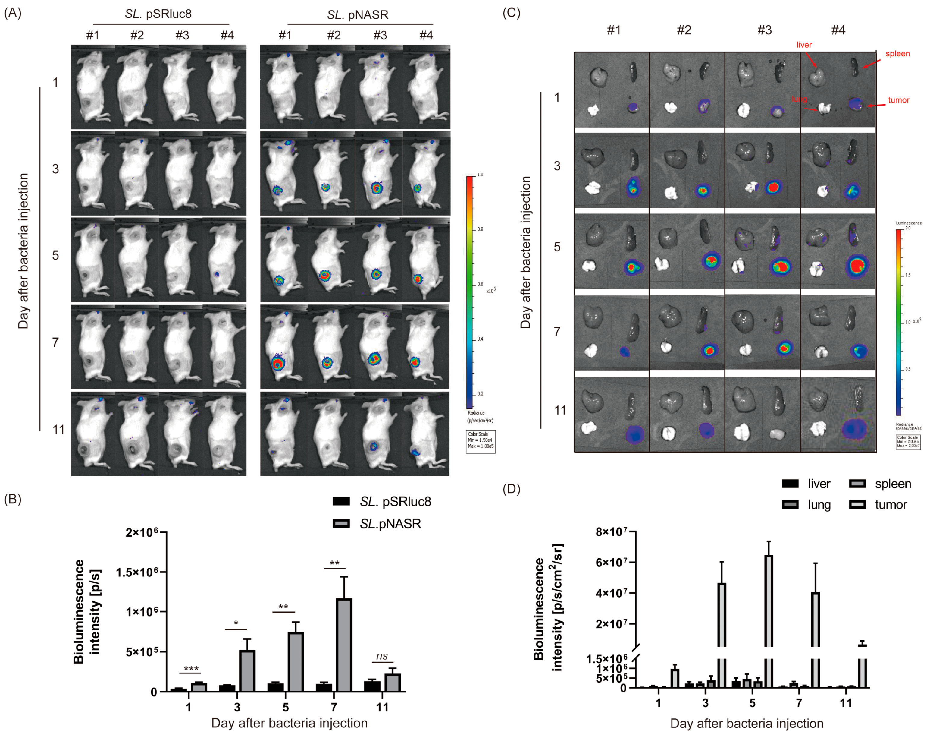 Biosensors 13 00266 g006 Biosensors 13 00266 g006
