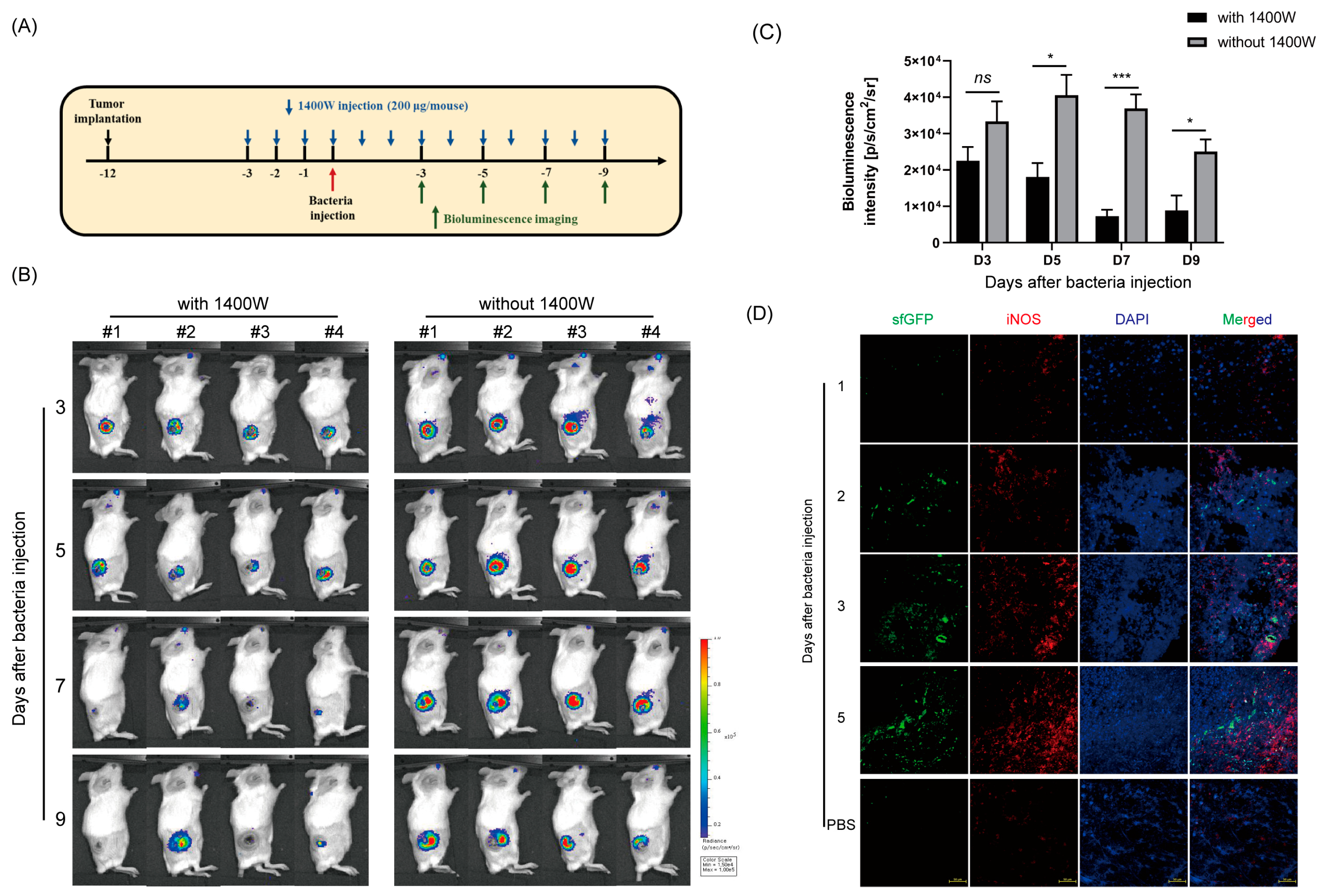 Biosensors 13 00266 g007 Biosensors 13 00266 g007