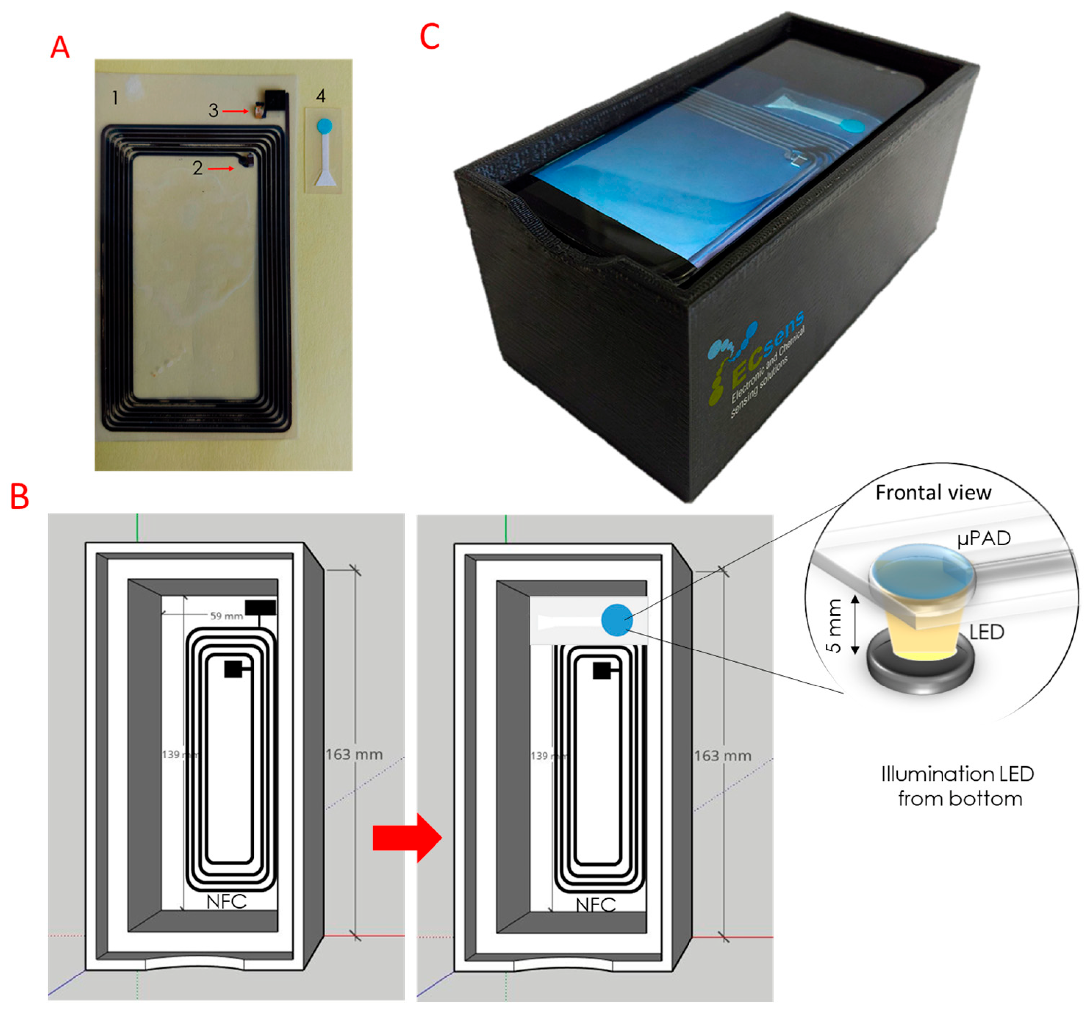 Biosensors 13 00267 g002 Biosensors 13 00267 g002