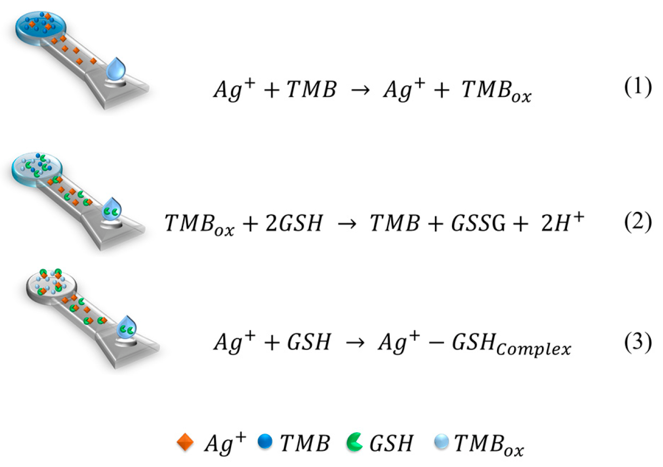Biosensors 13 00267 sch001 Biosensors 13 00267 sch001