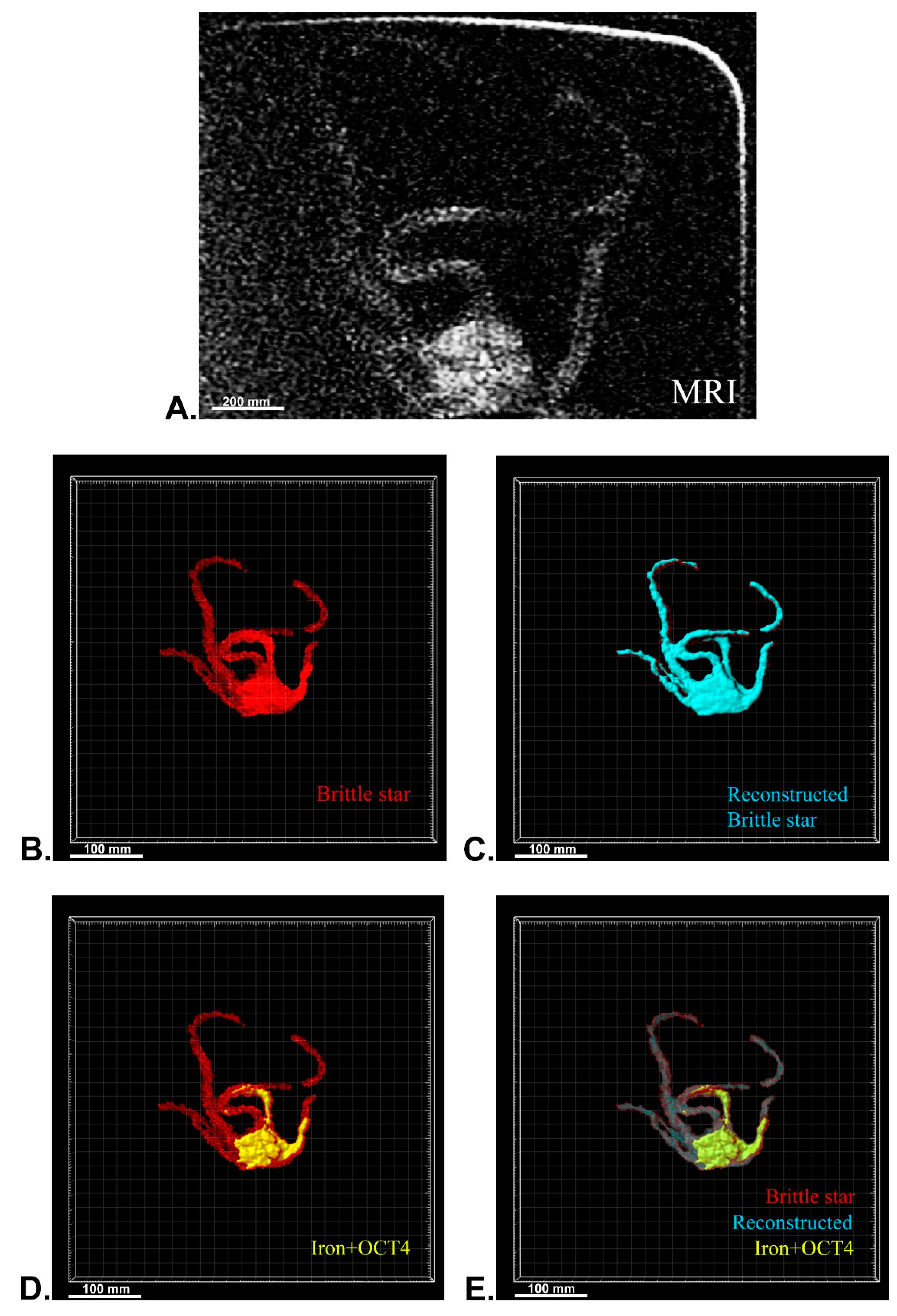Biosensors 13 00268 g008